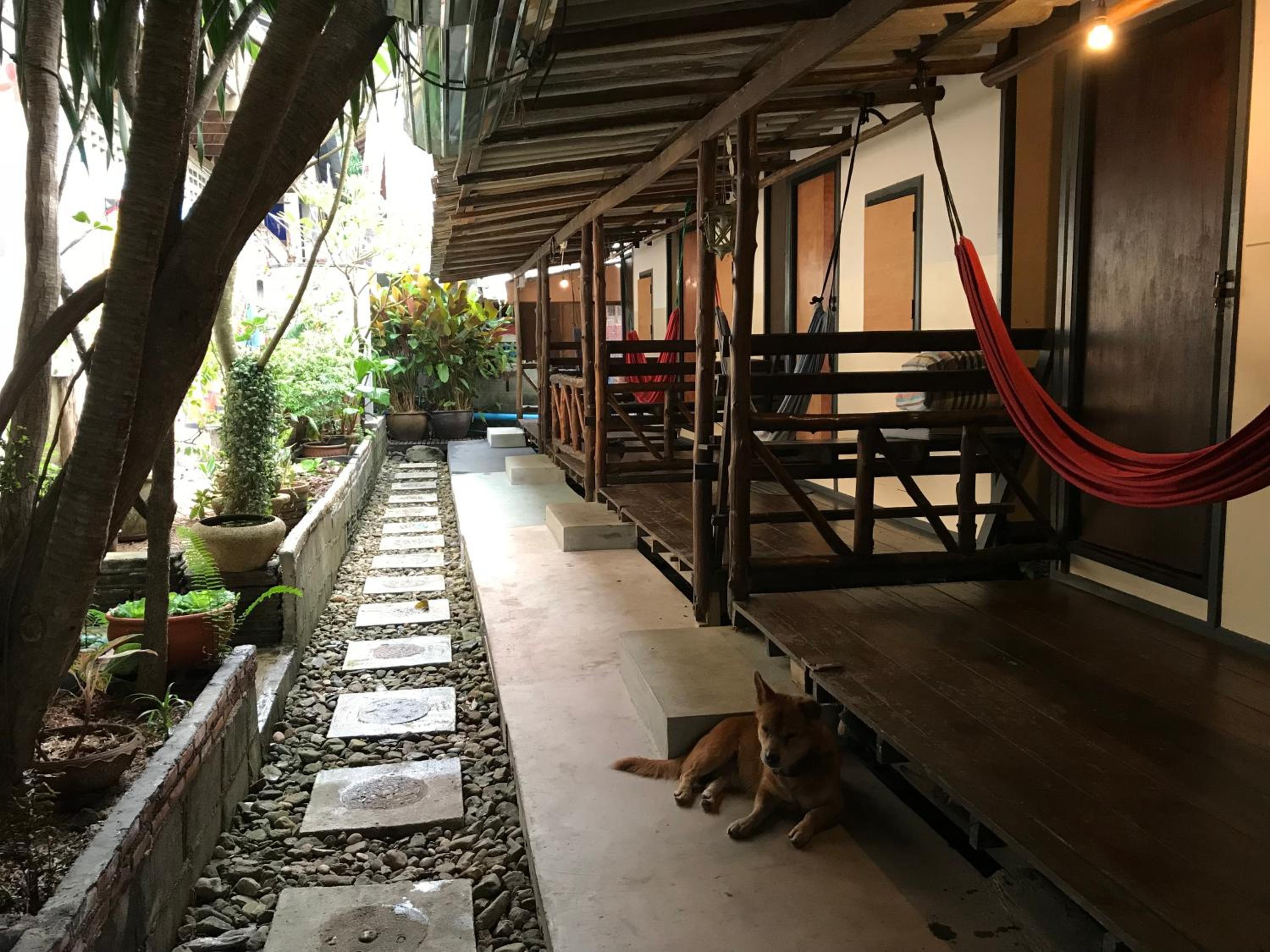 Cafe del sunshine