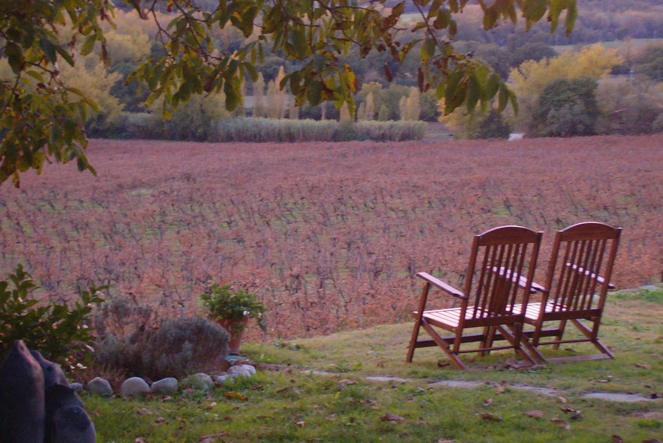 Agriturismo Cioccoleta