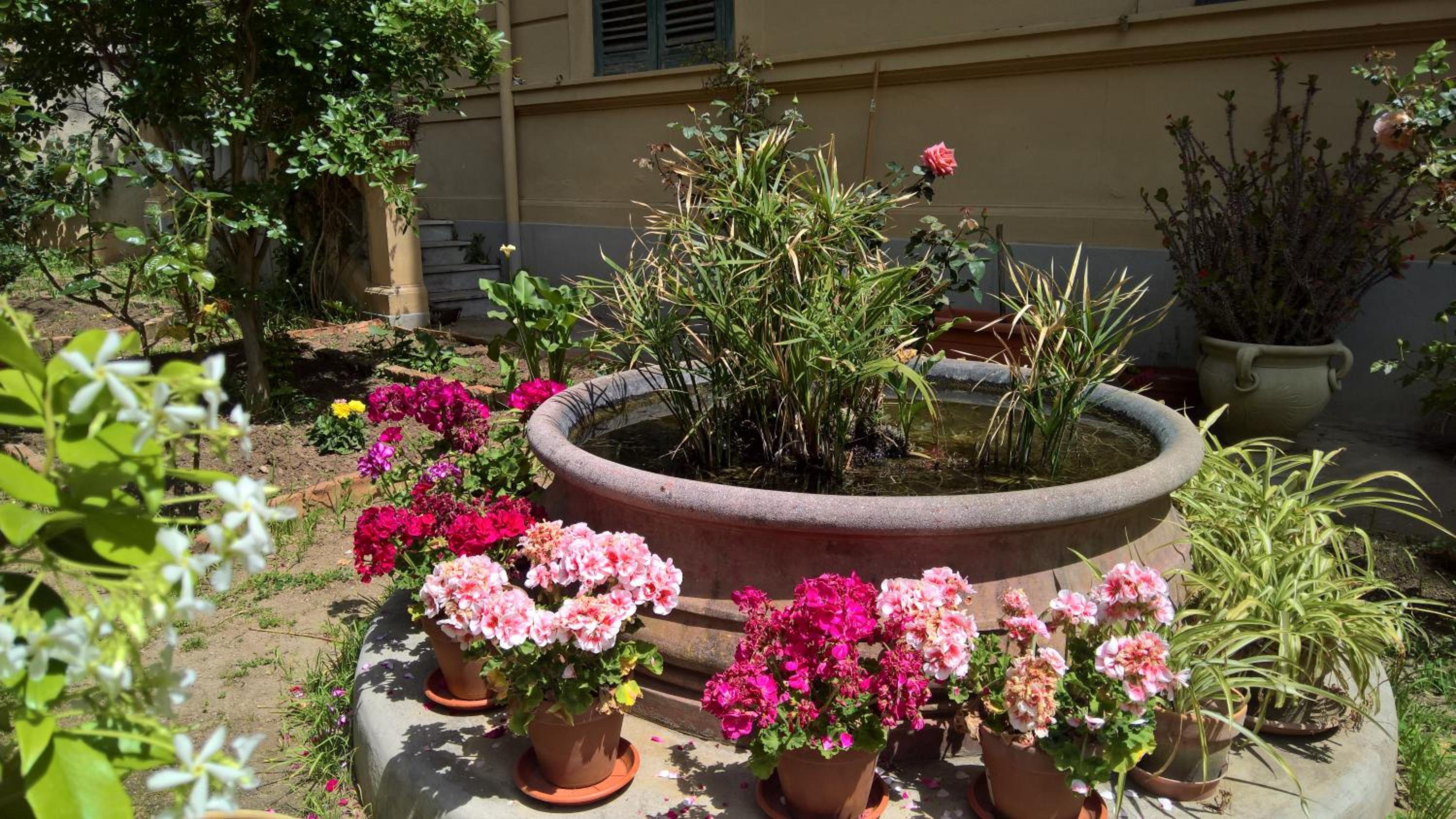 Le Rose del Viale
