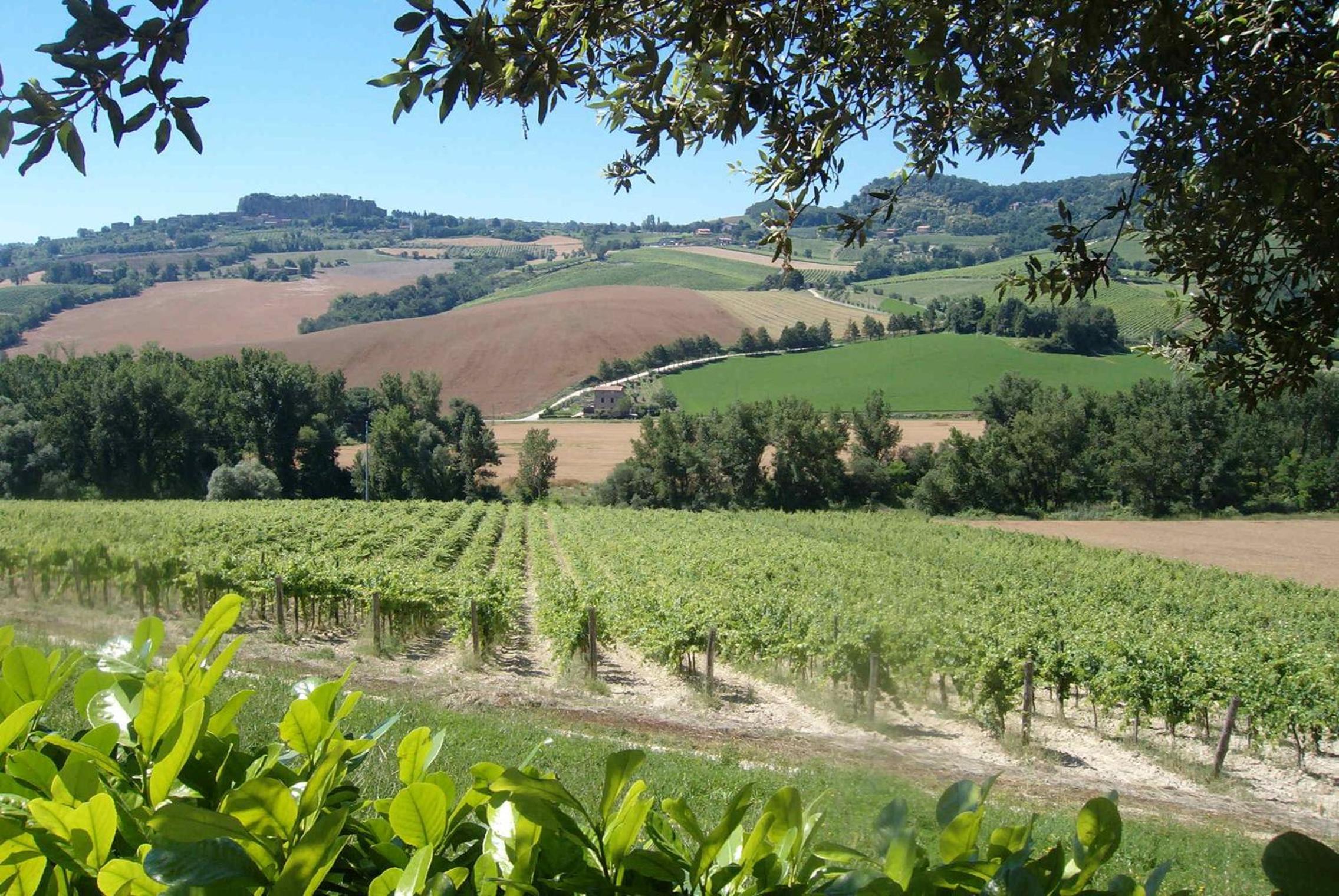 Agriturismo Cioccoleta