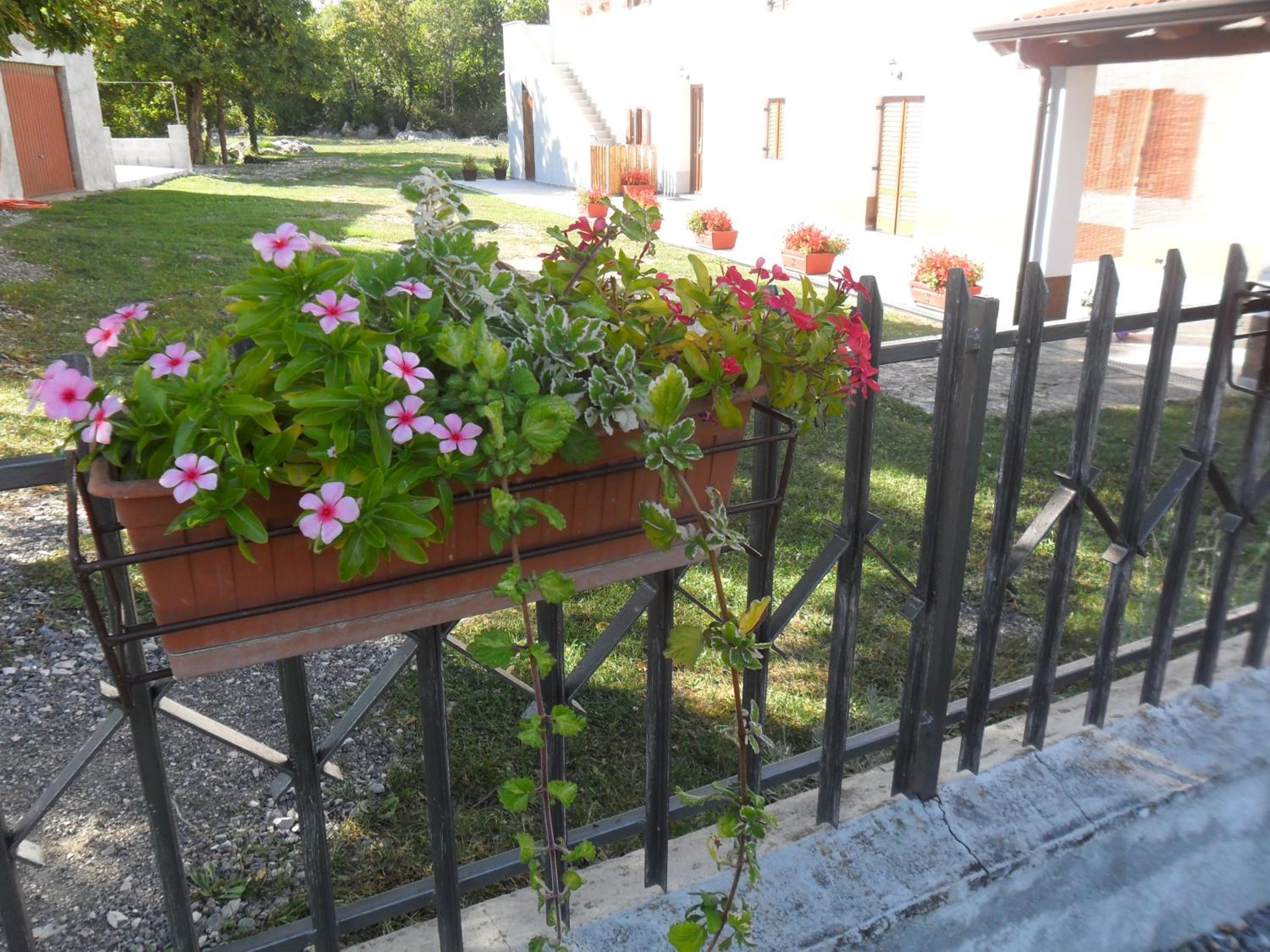 Apartmani Bartulasi