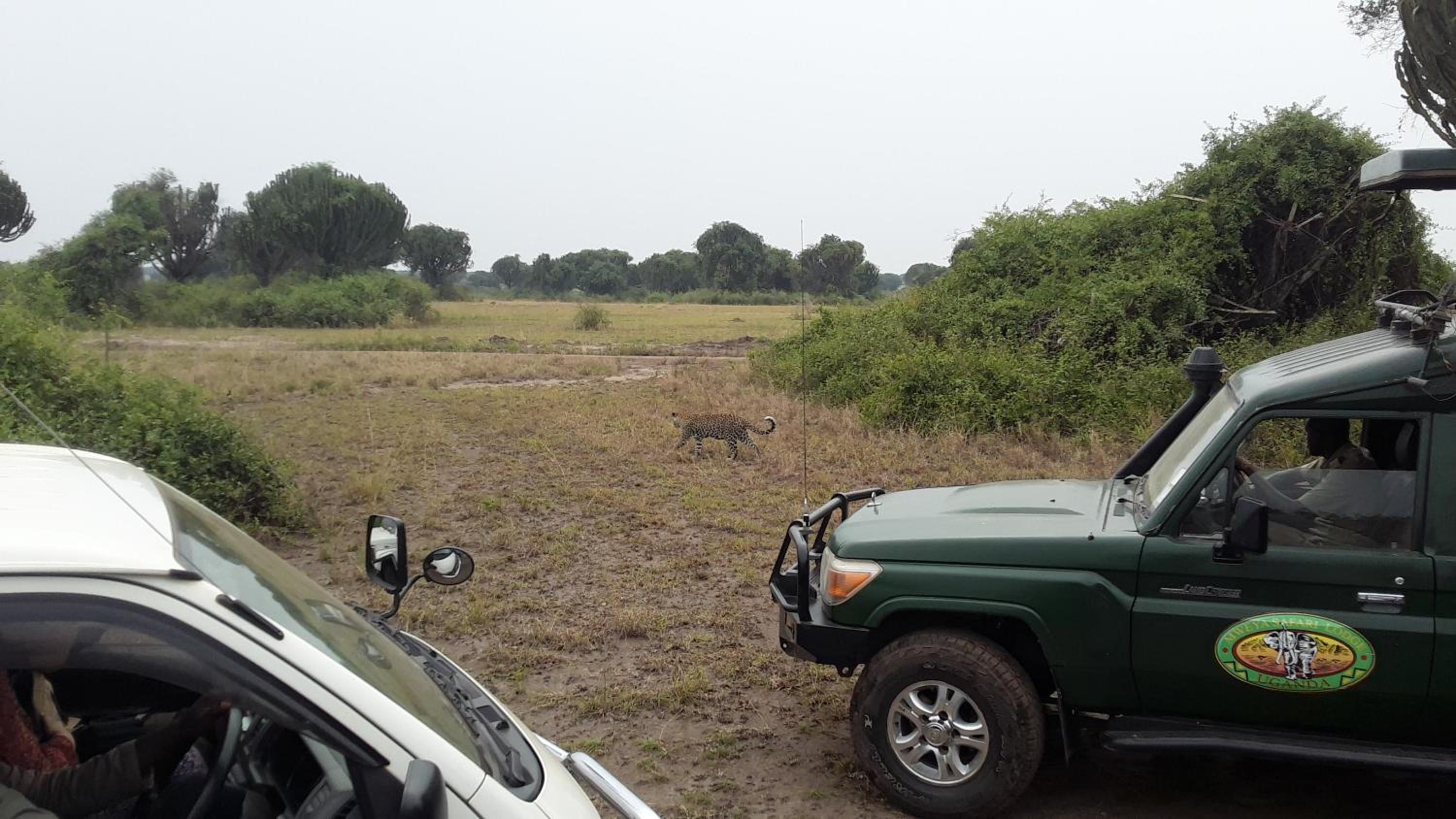 Engiri Game Lodge and Campsite