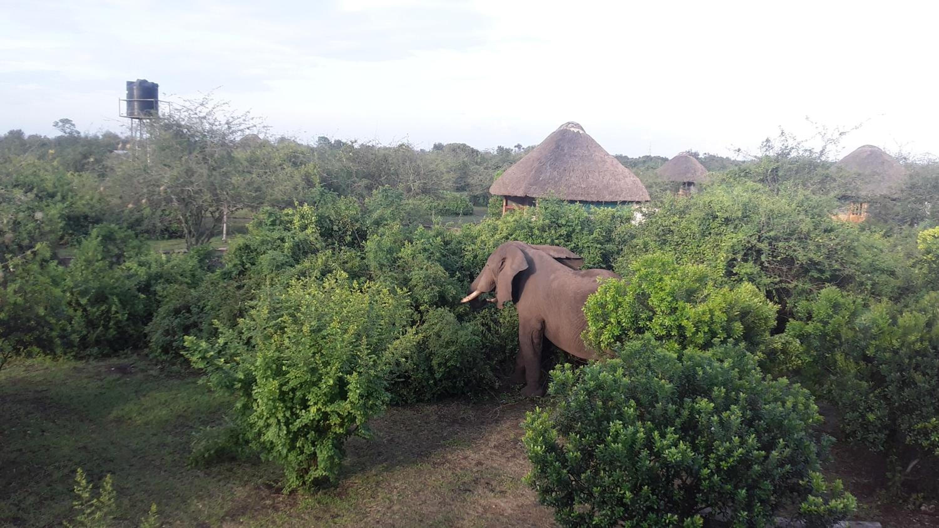 Engiri Game Lodge and Campsite