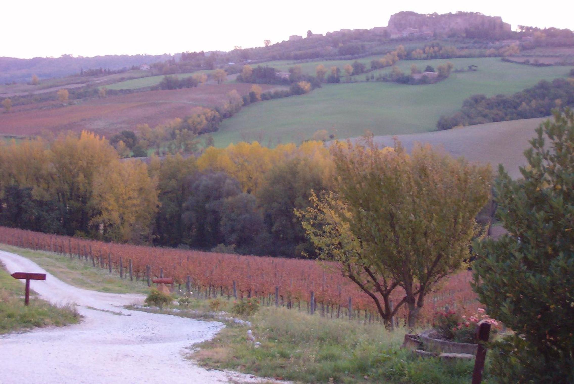 Agriturismo Cioccoleta