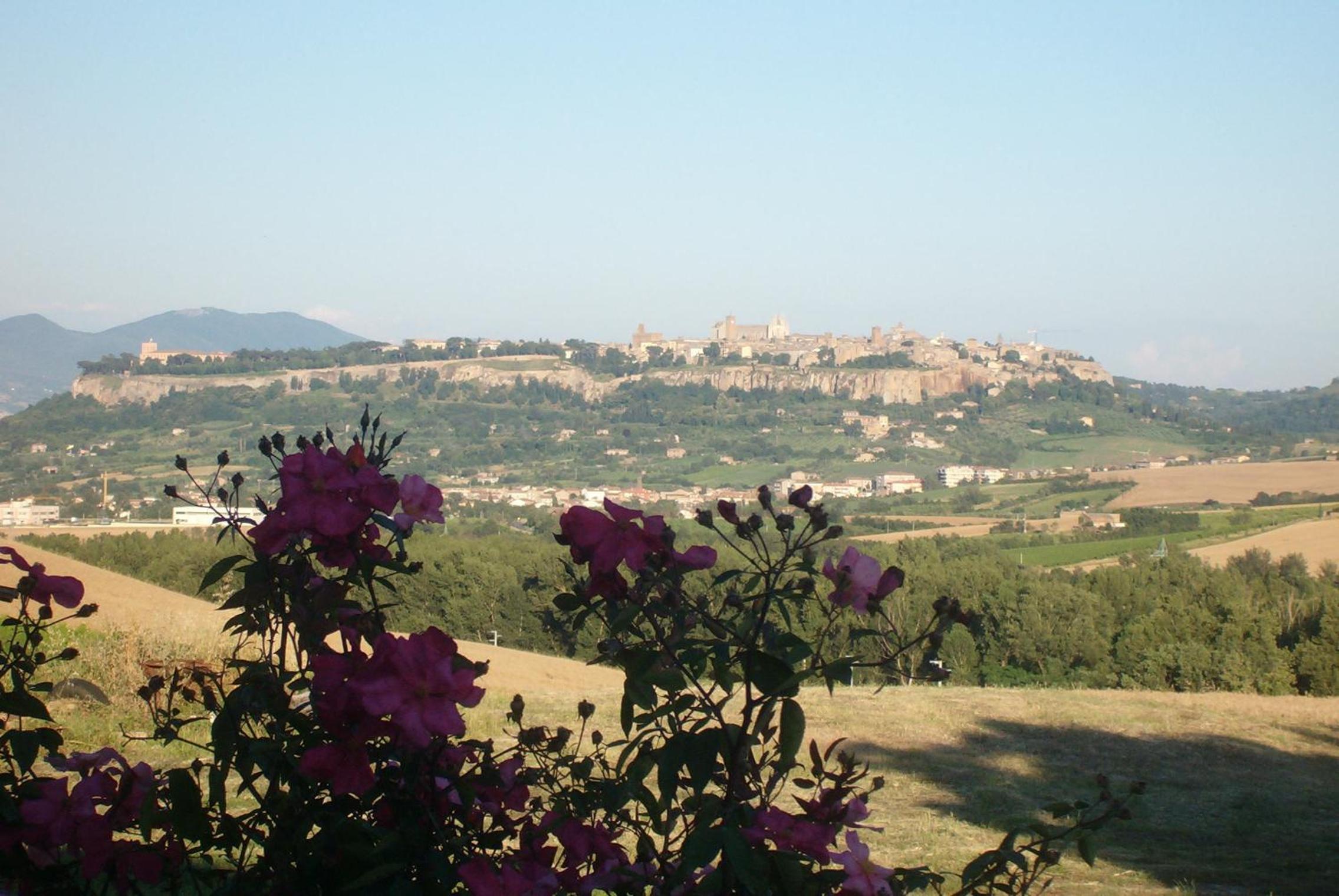 Agriturismo Cioccoleta