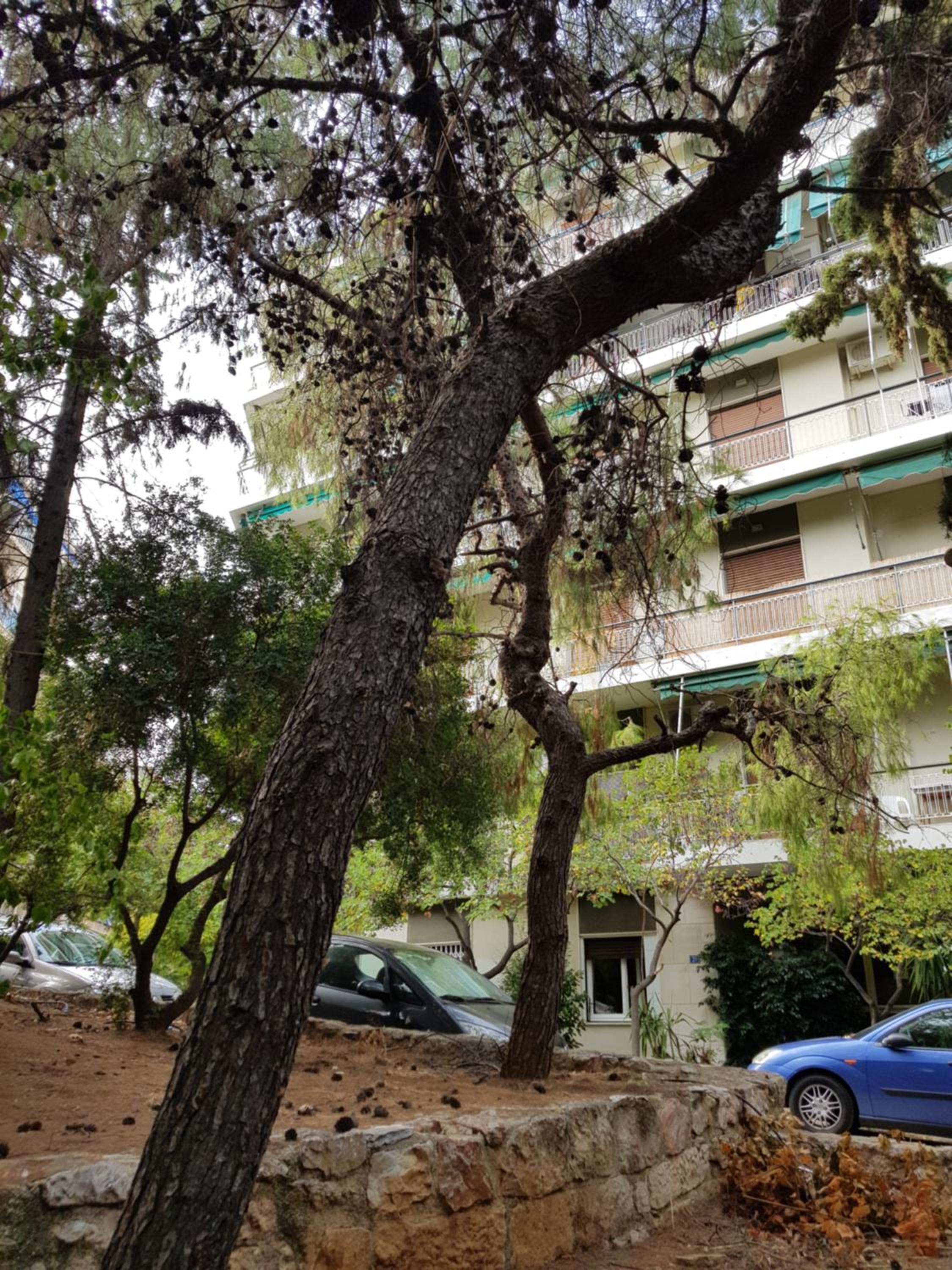 Park at Home Apartment