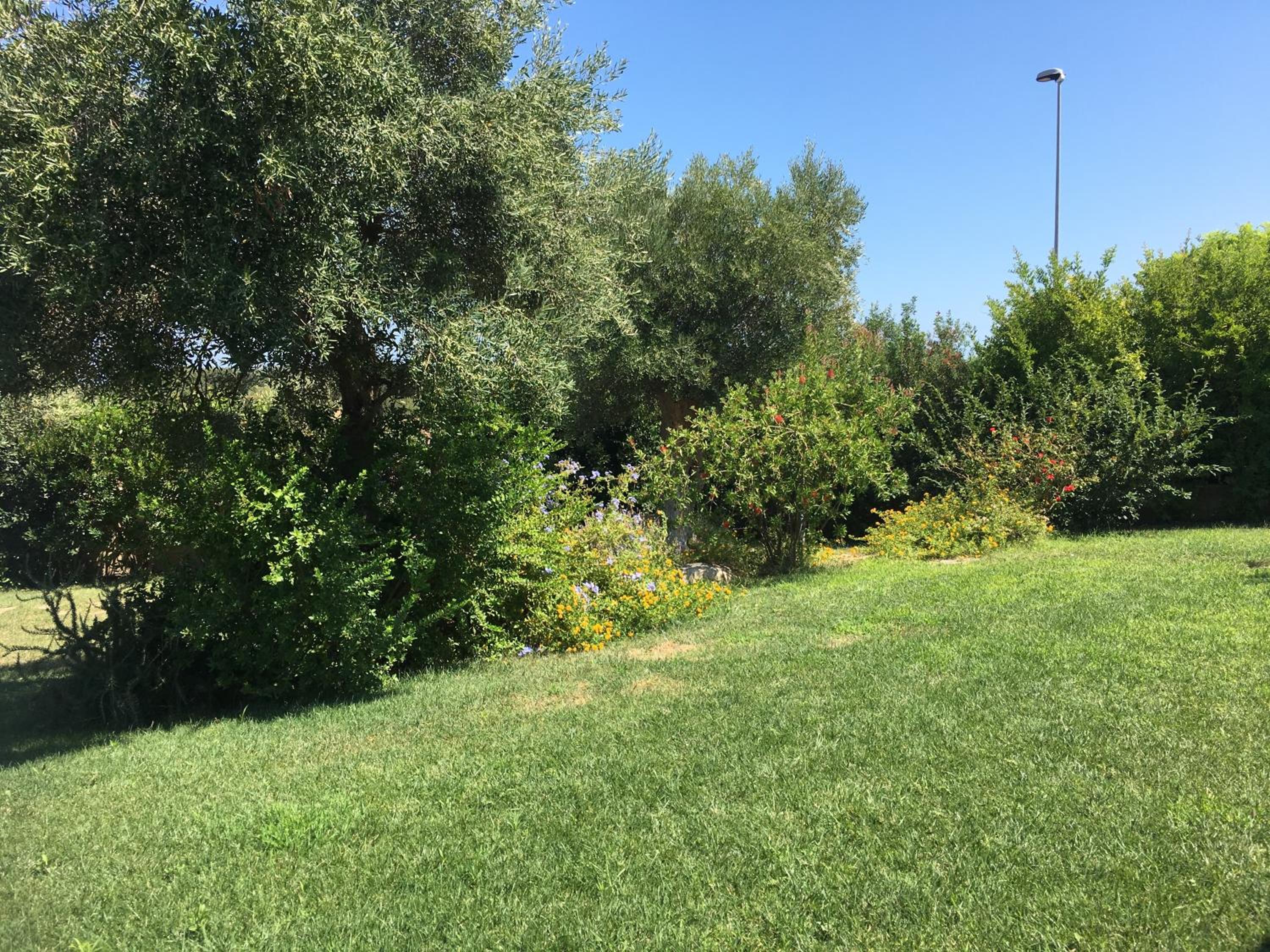 Nel Blu Dipinto Di Blu photo 5