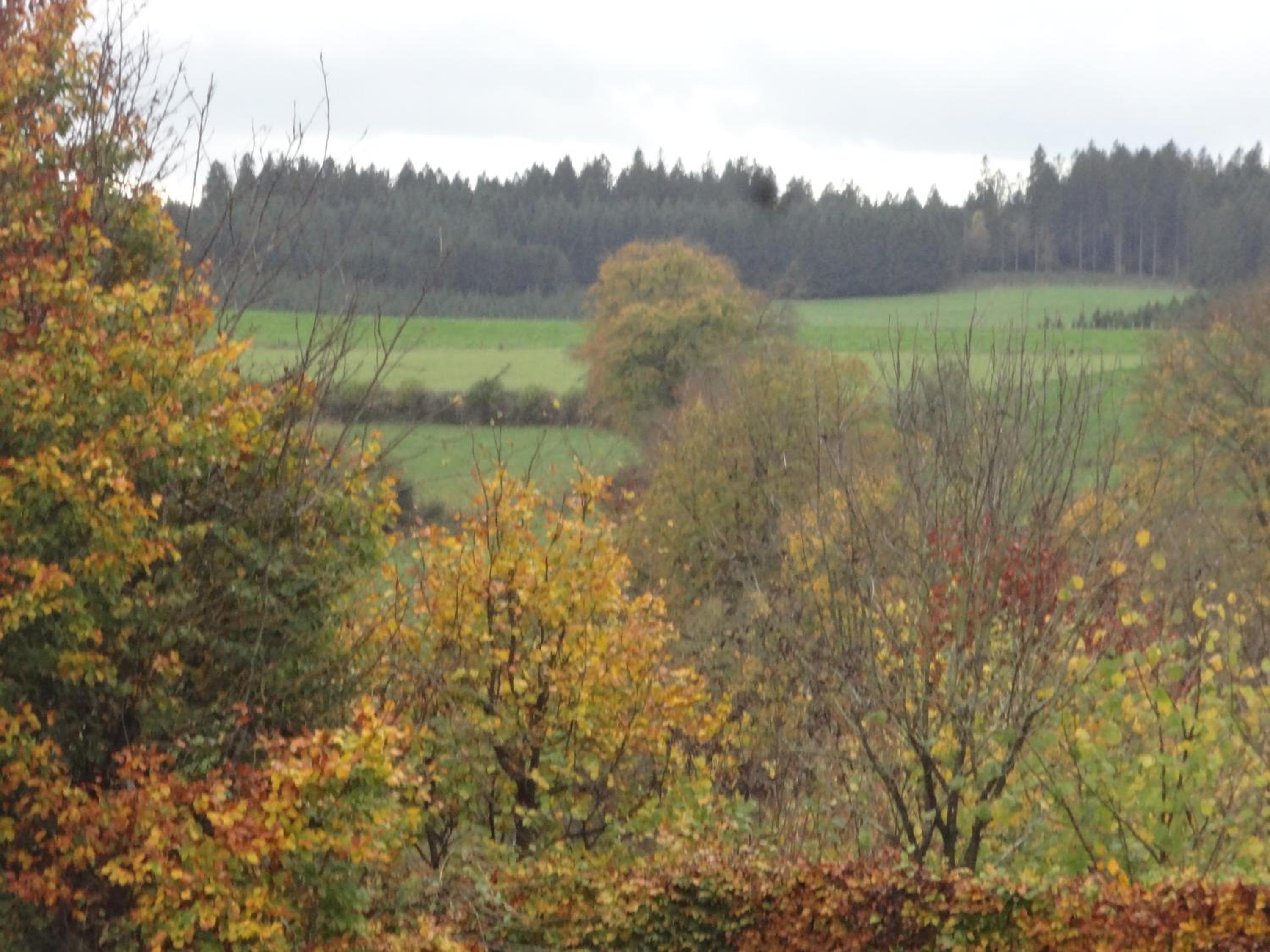 An Hütten