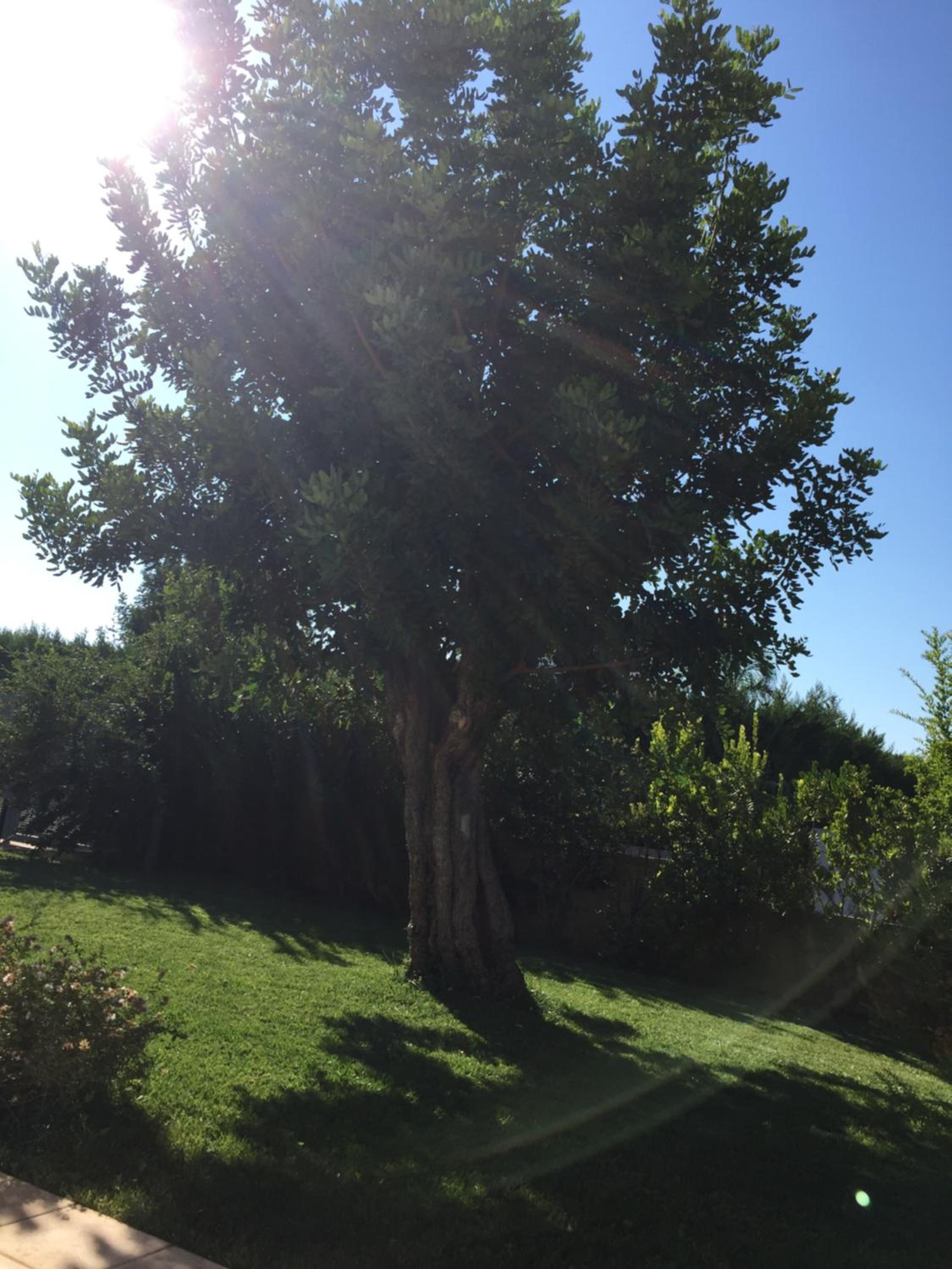 Nel Blu Dipinto Di Blu photo 2