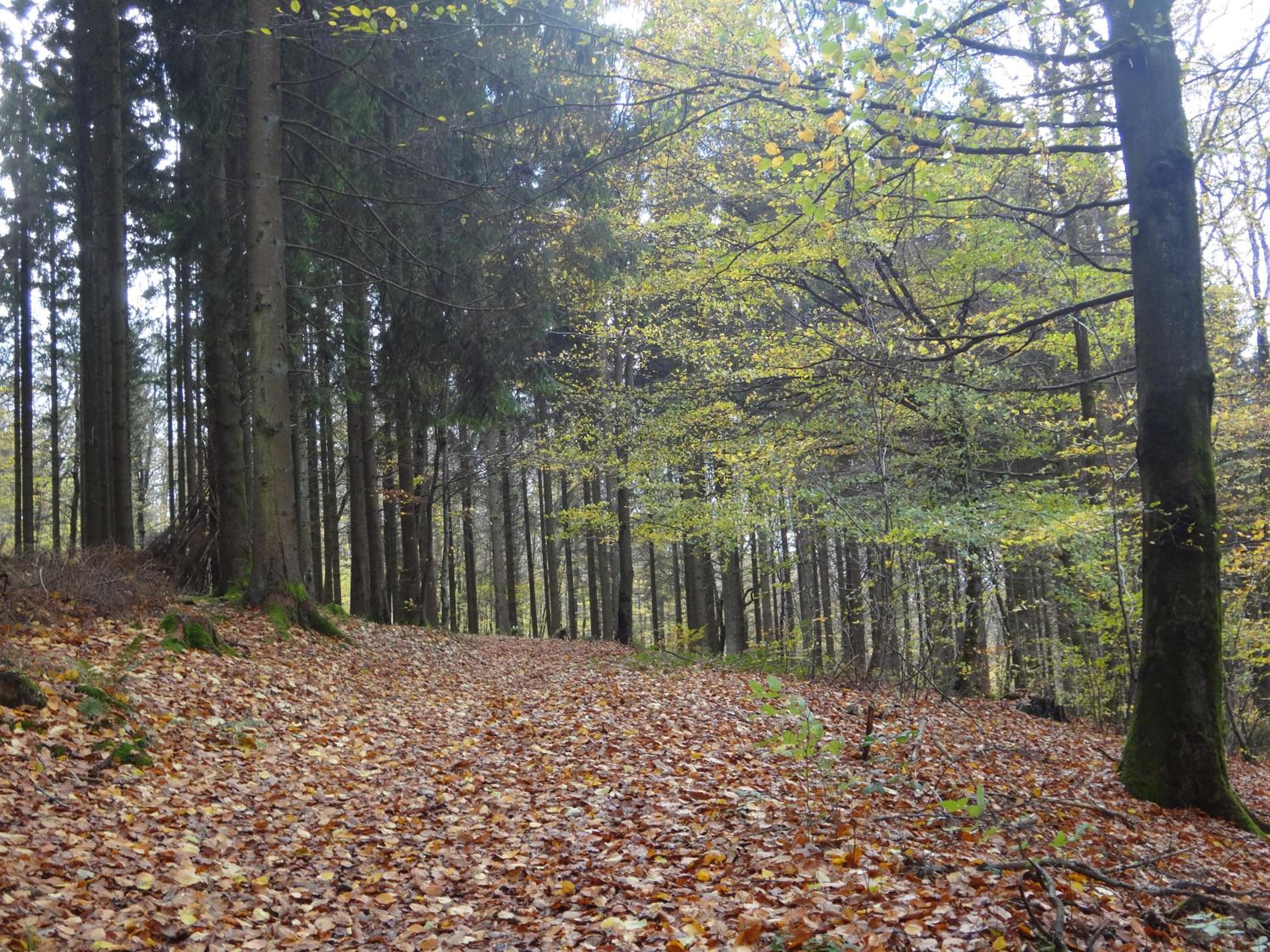 An Hütten