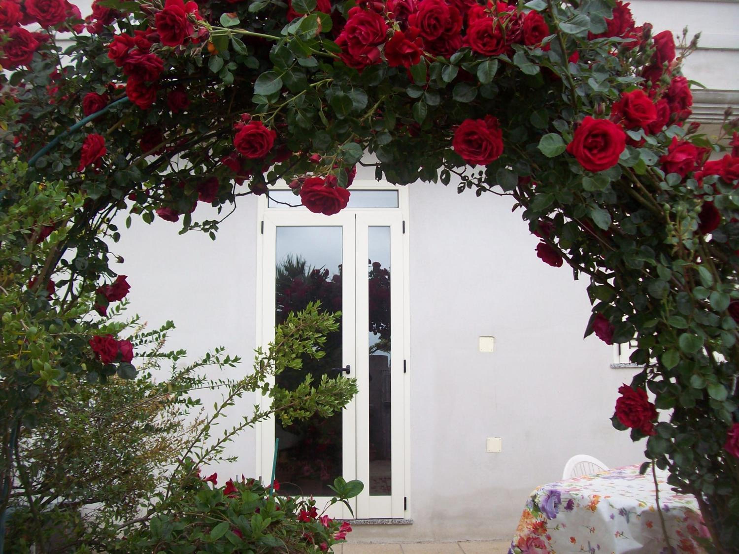 B&B Kazakova, photo 28