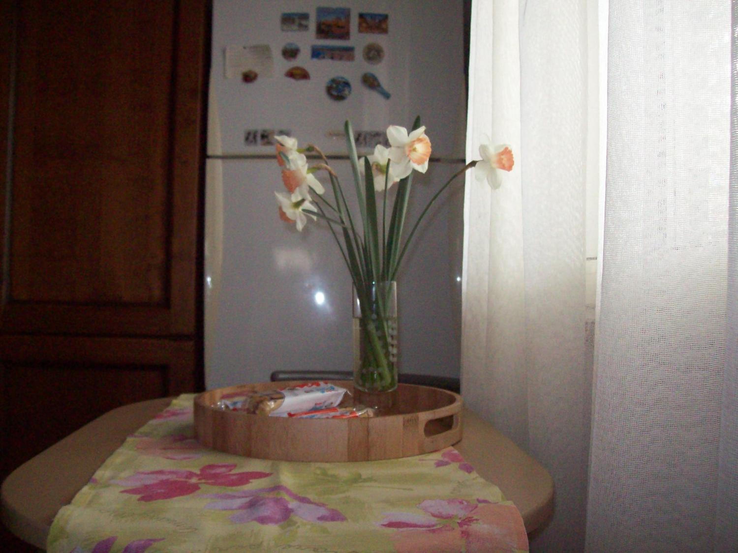 B&B Kazakova, photo 23