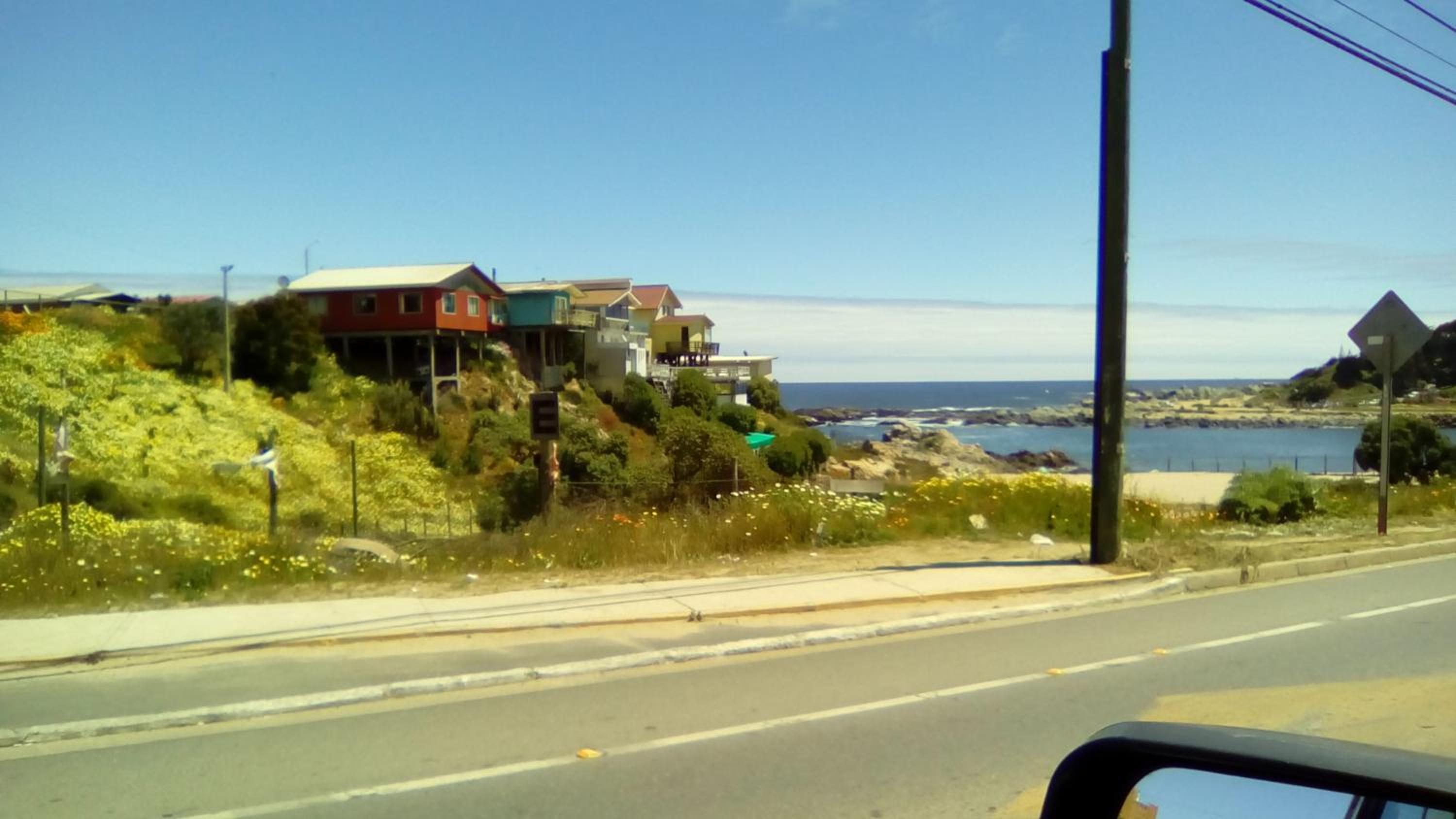Photo 42