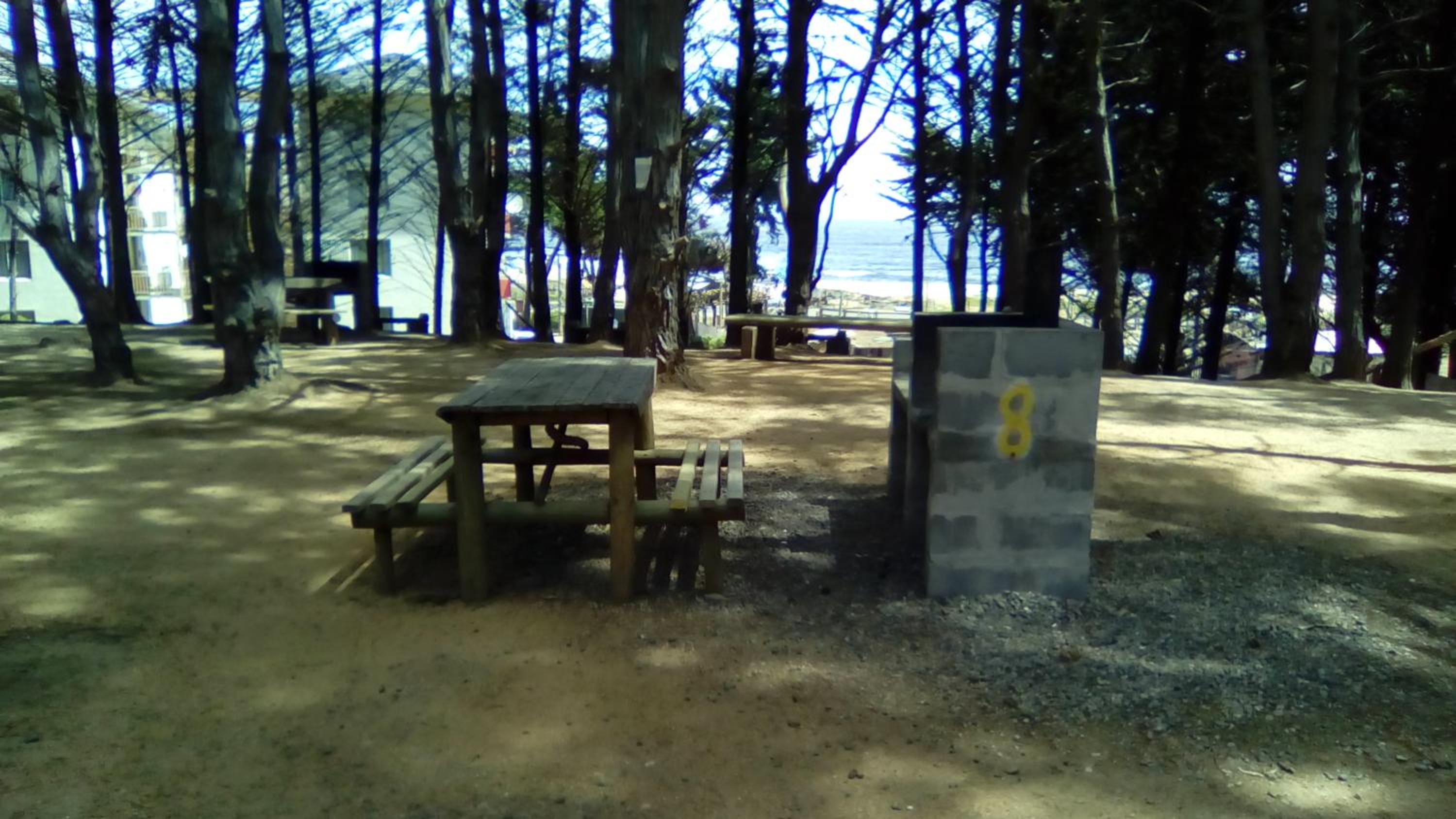 Photo 40