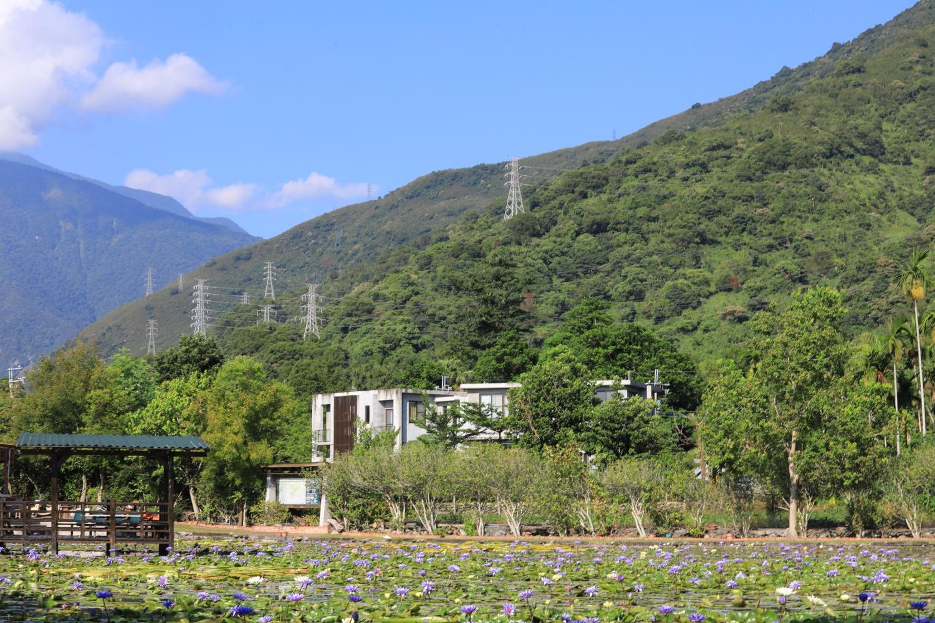 Country Living Home Stay view 4