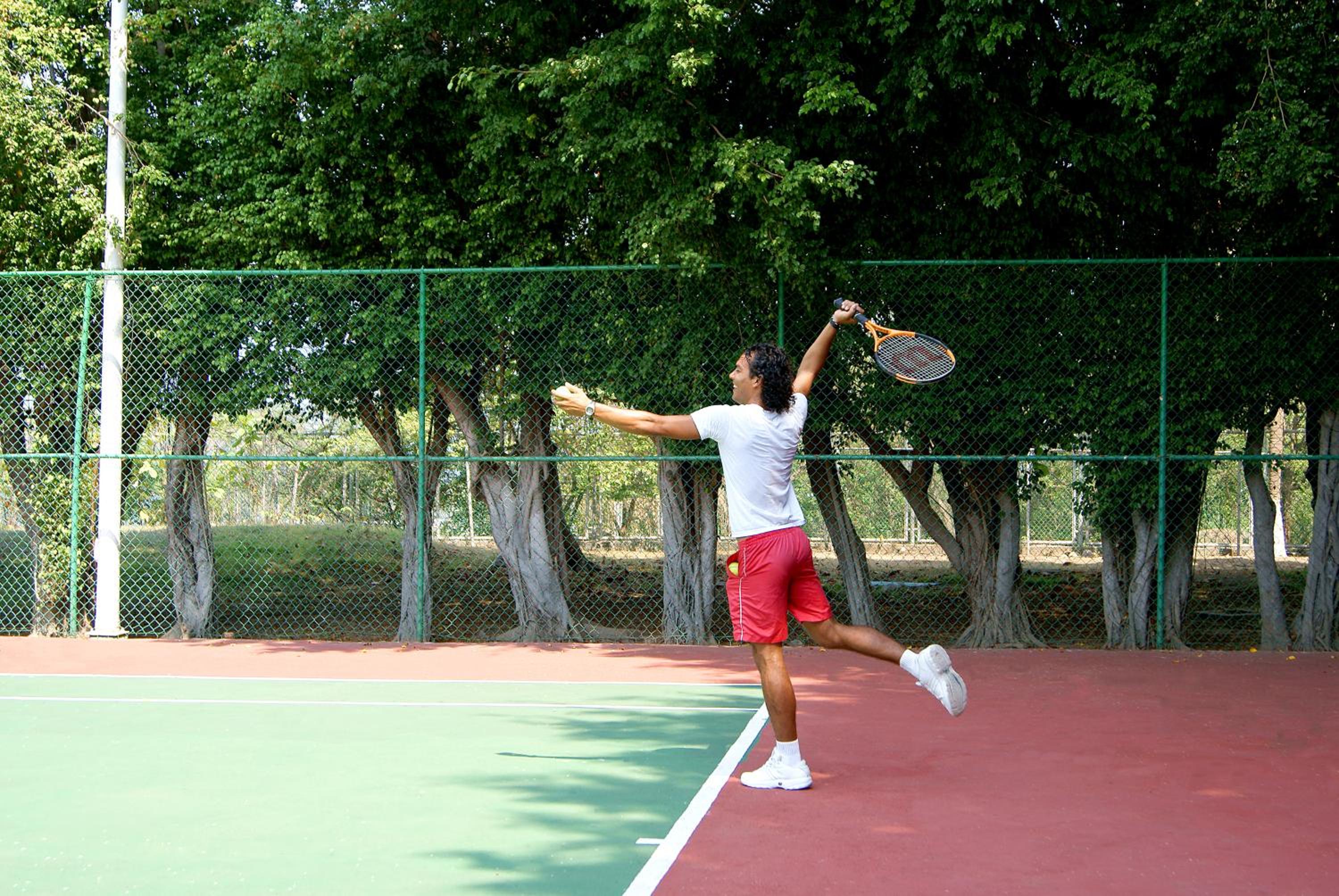 Photo 50