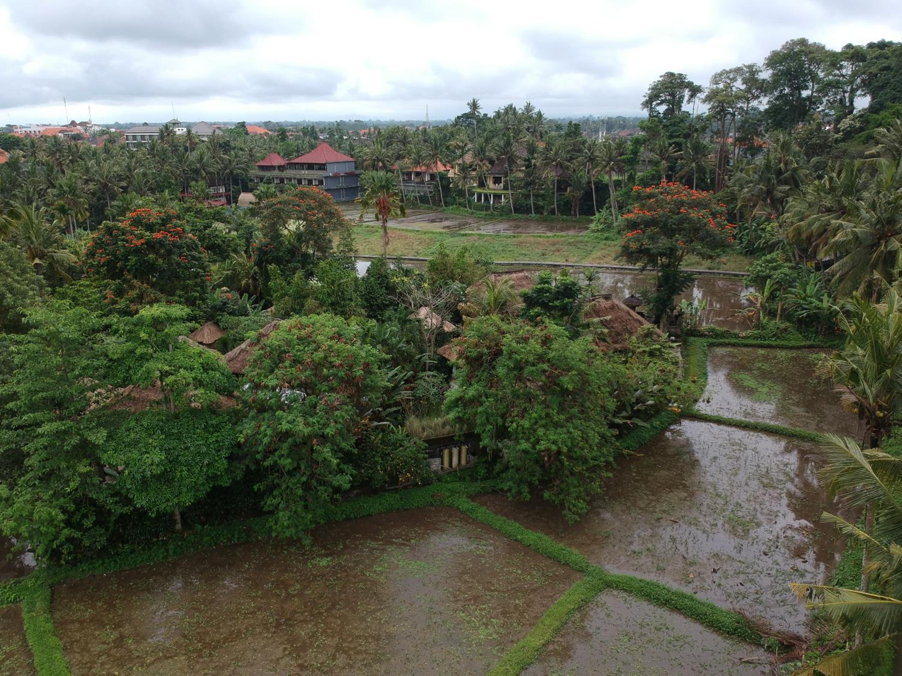 Byasa Ubud