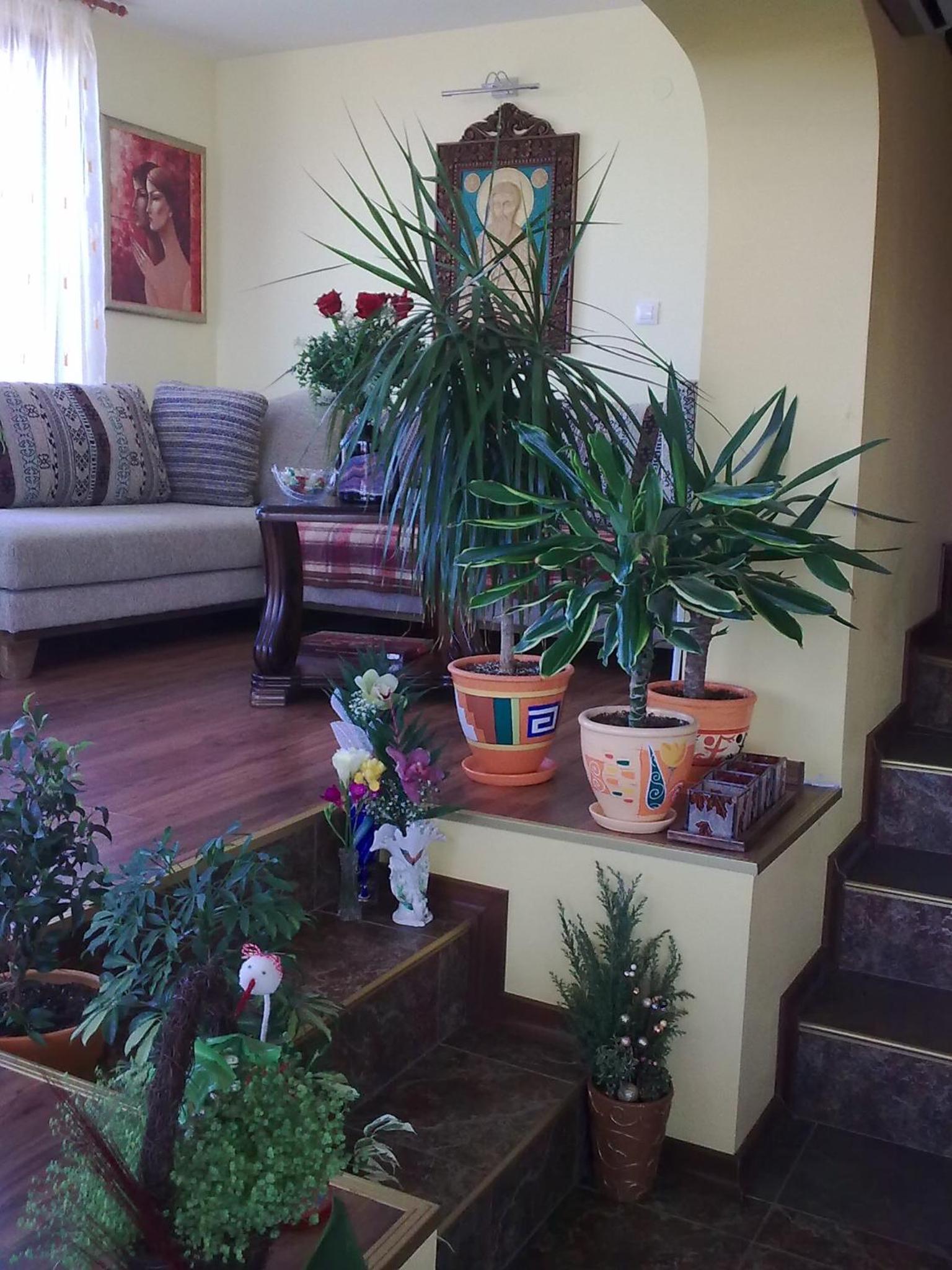 Guest House Slivek