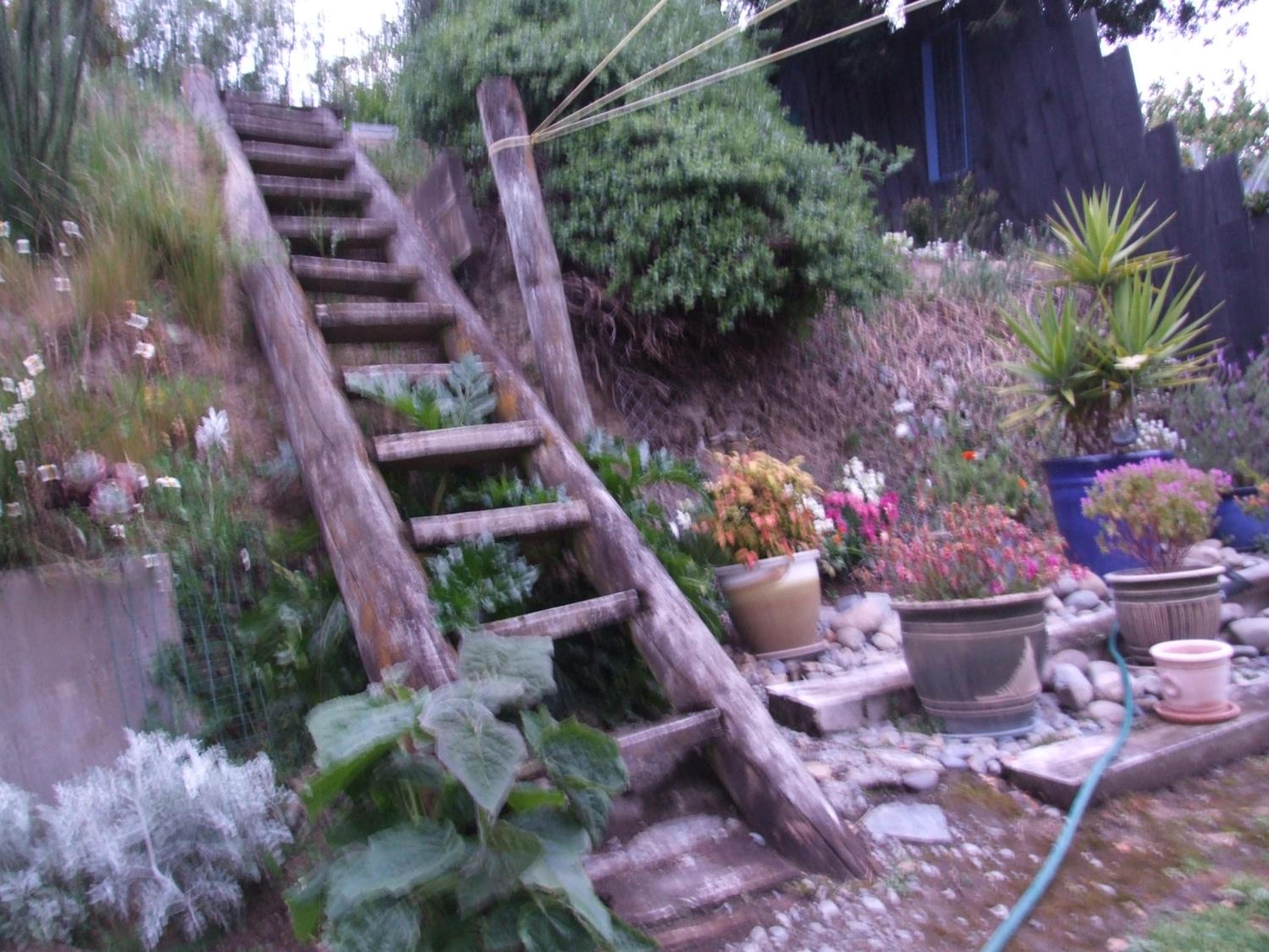 Annie's BnB at 7C view 5