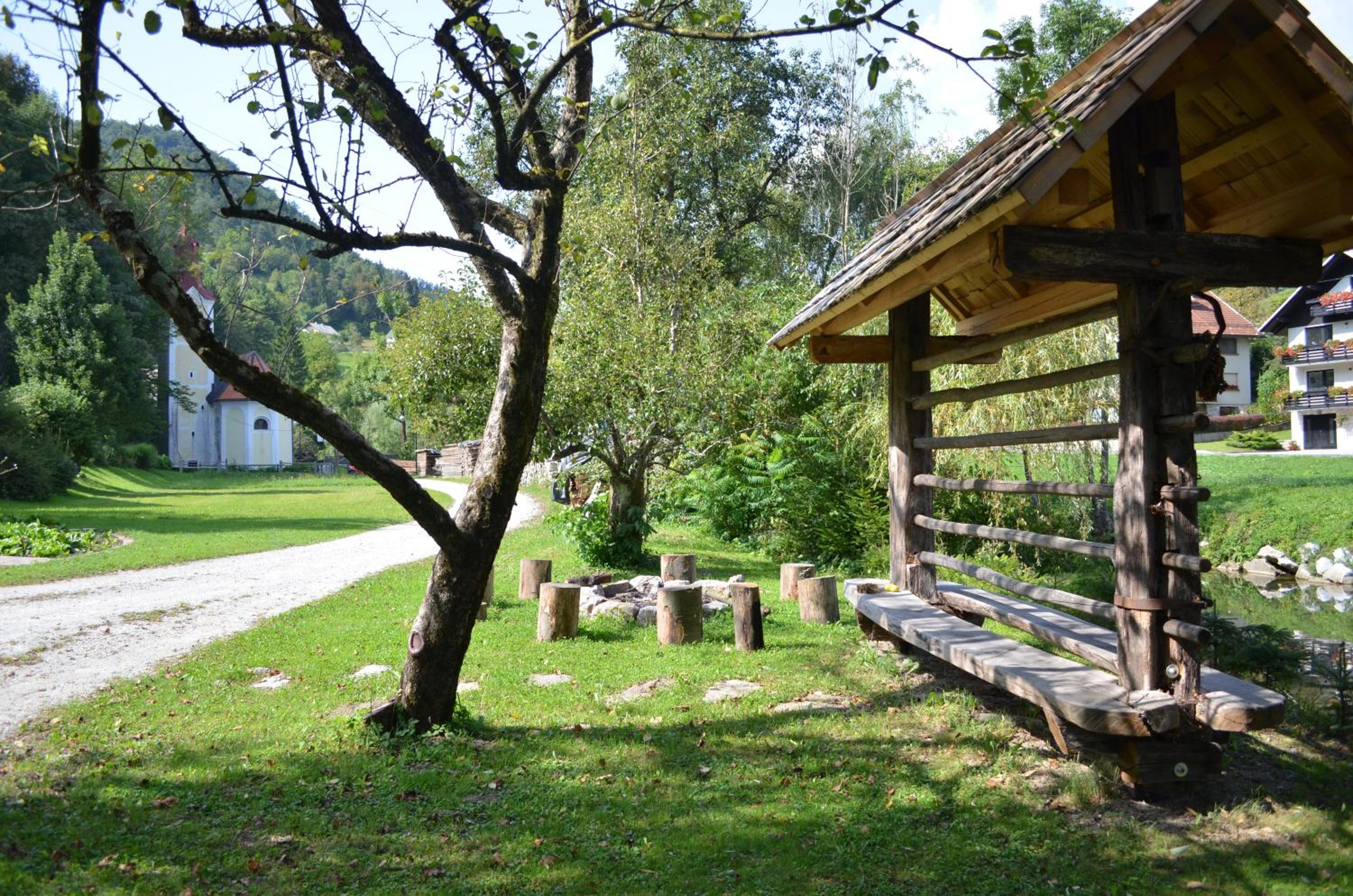 Photo 46