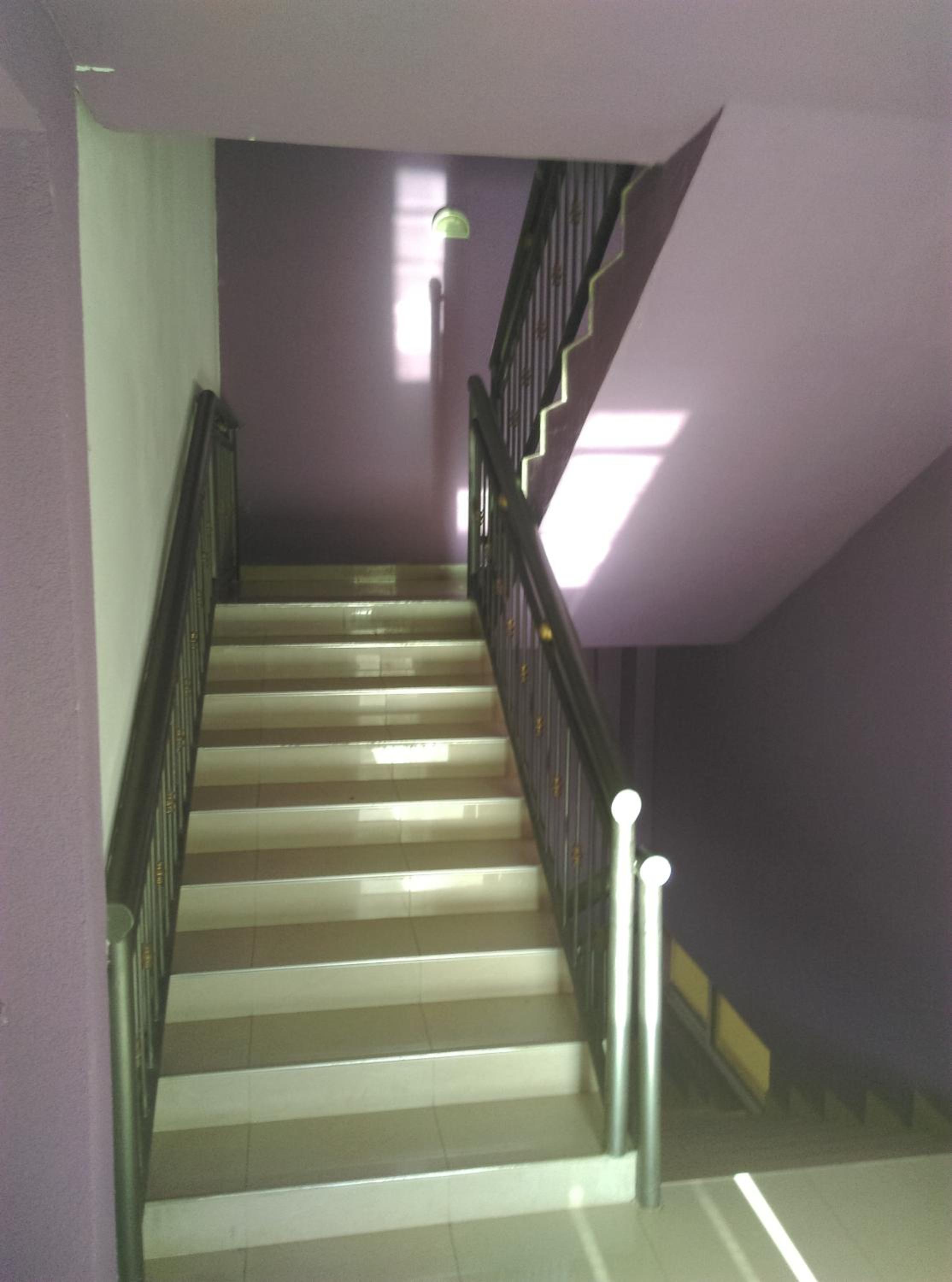 Pansion Viola