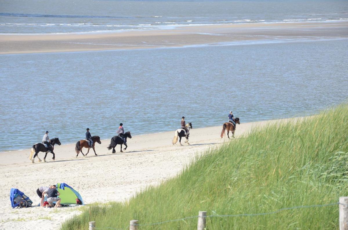 Inselresidenz Seeschwalbe Langeoog