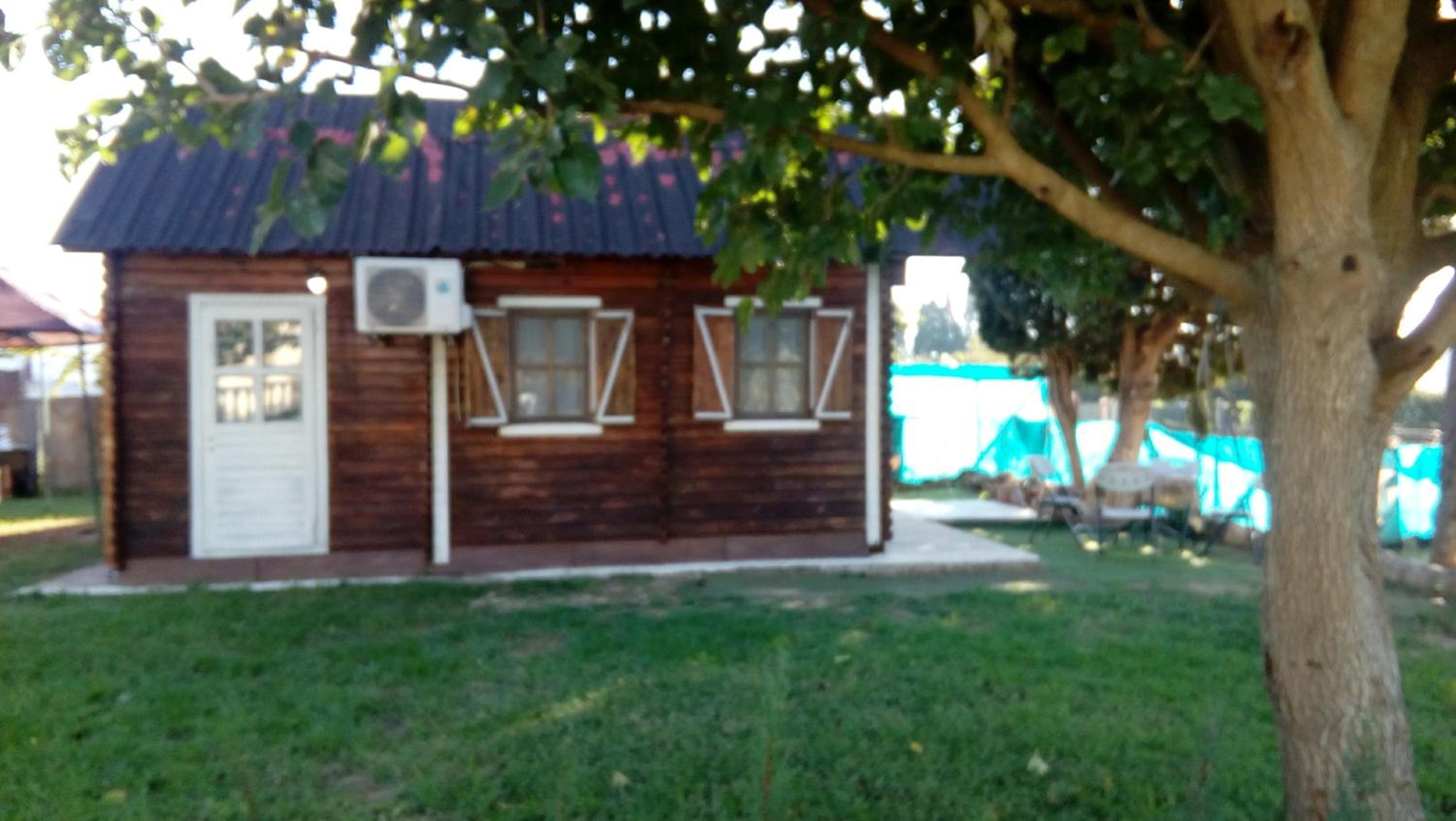 Photo 31