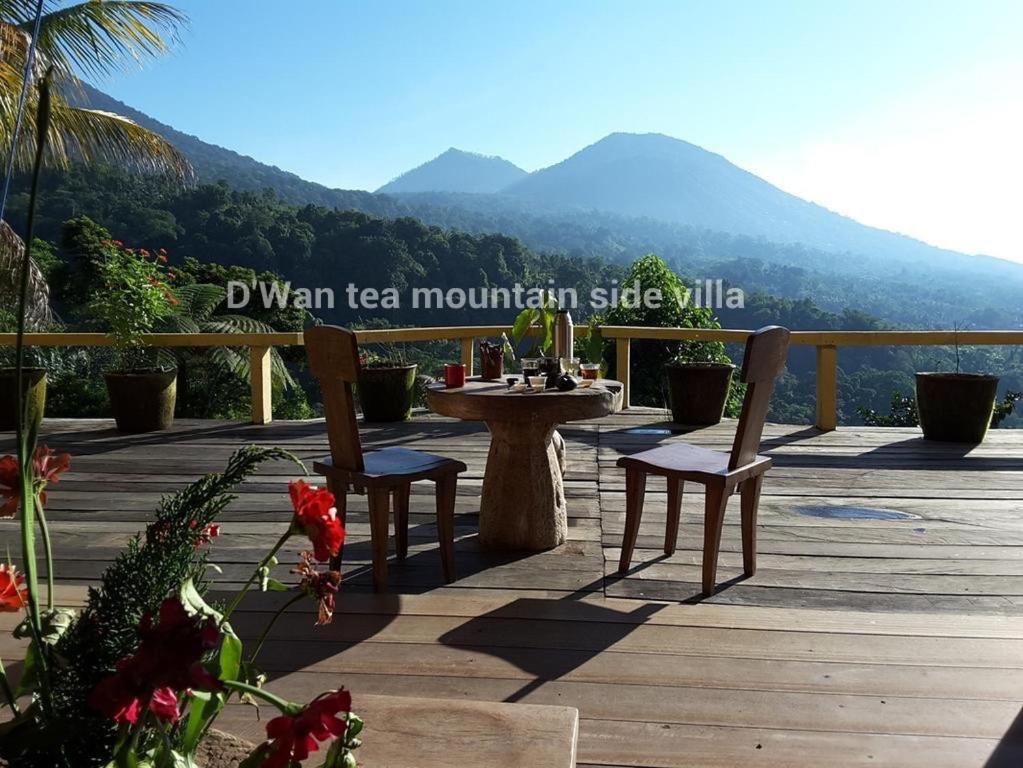 DWan Tea Mountain Side view 5