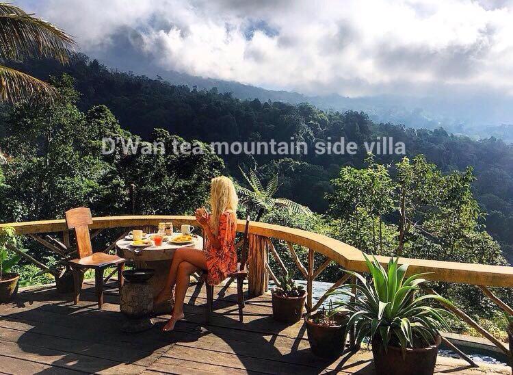 DWan Tea Mountain Side view 4