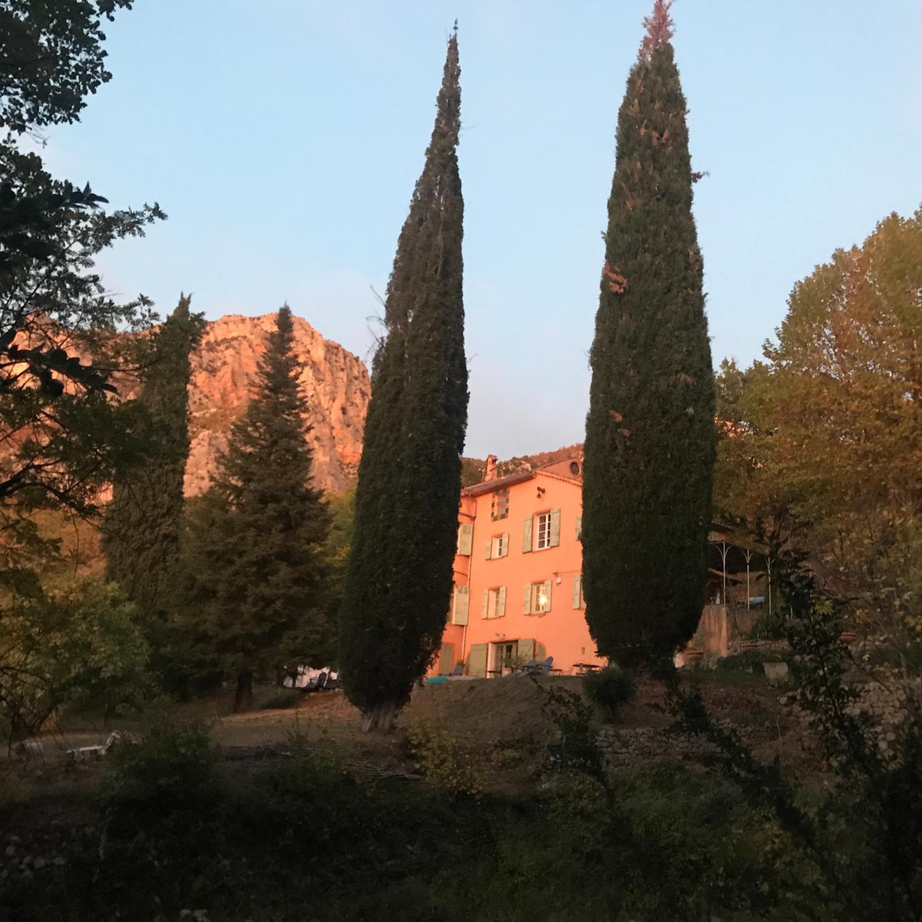 Photo 23