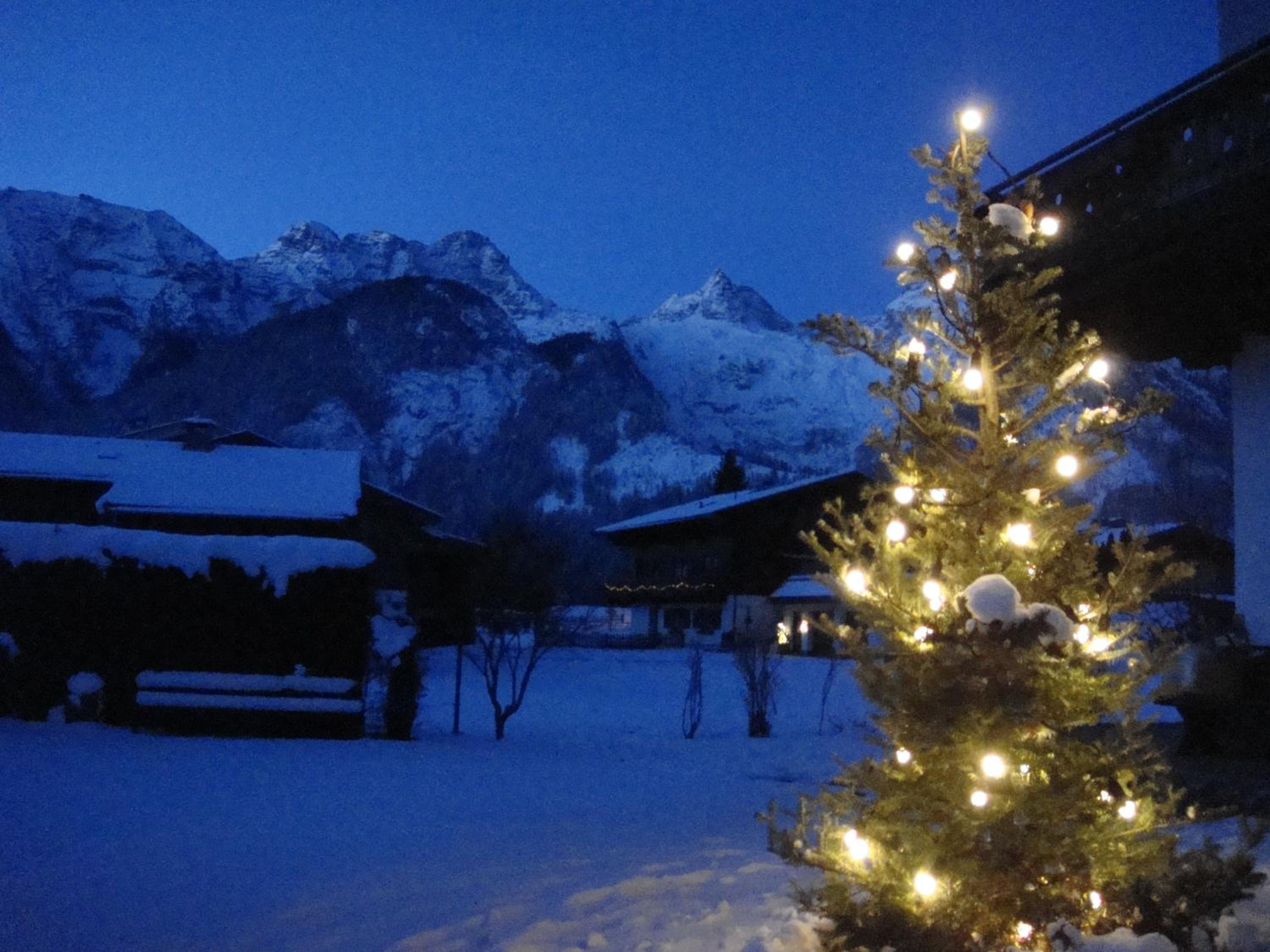 Haus Alpengruß view 4