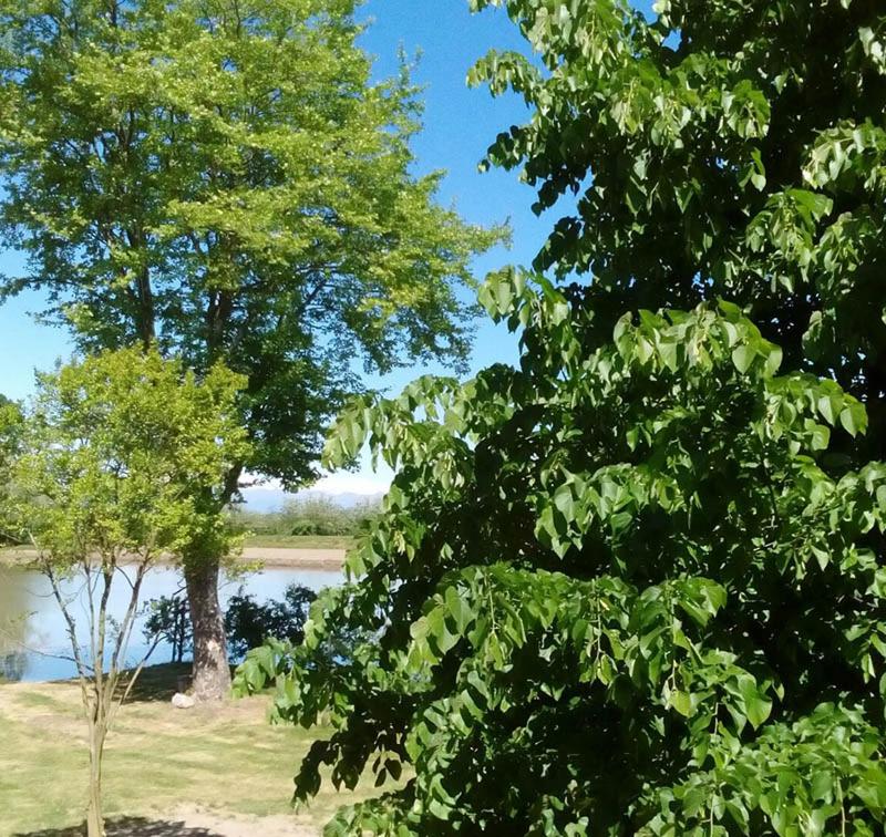 Photo 47