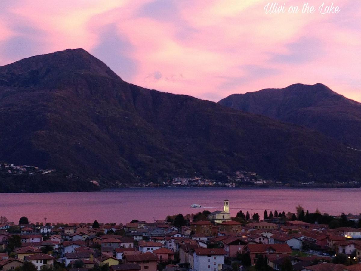 Ulivi on the Lake