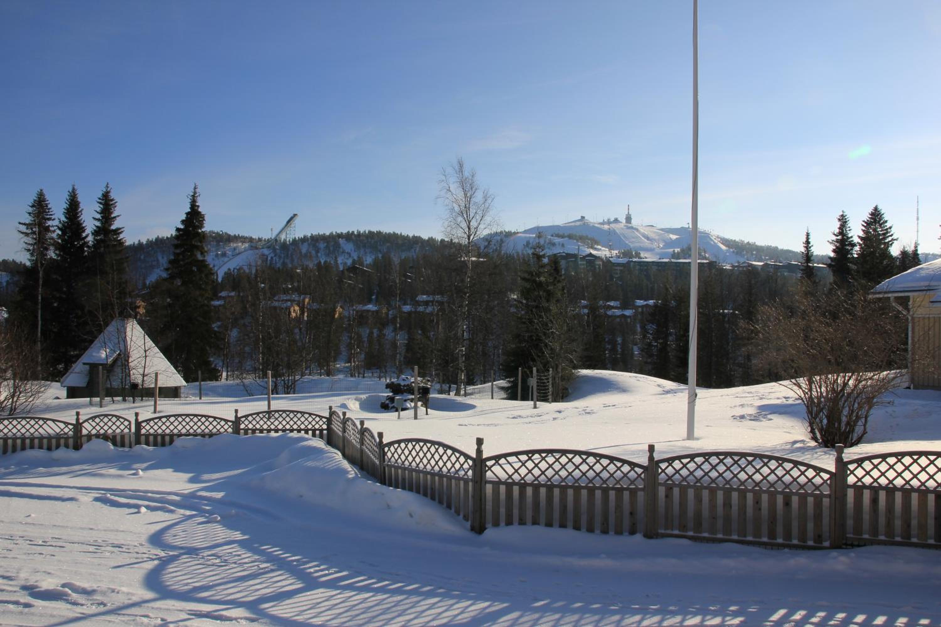 Photo 20