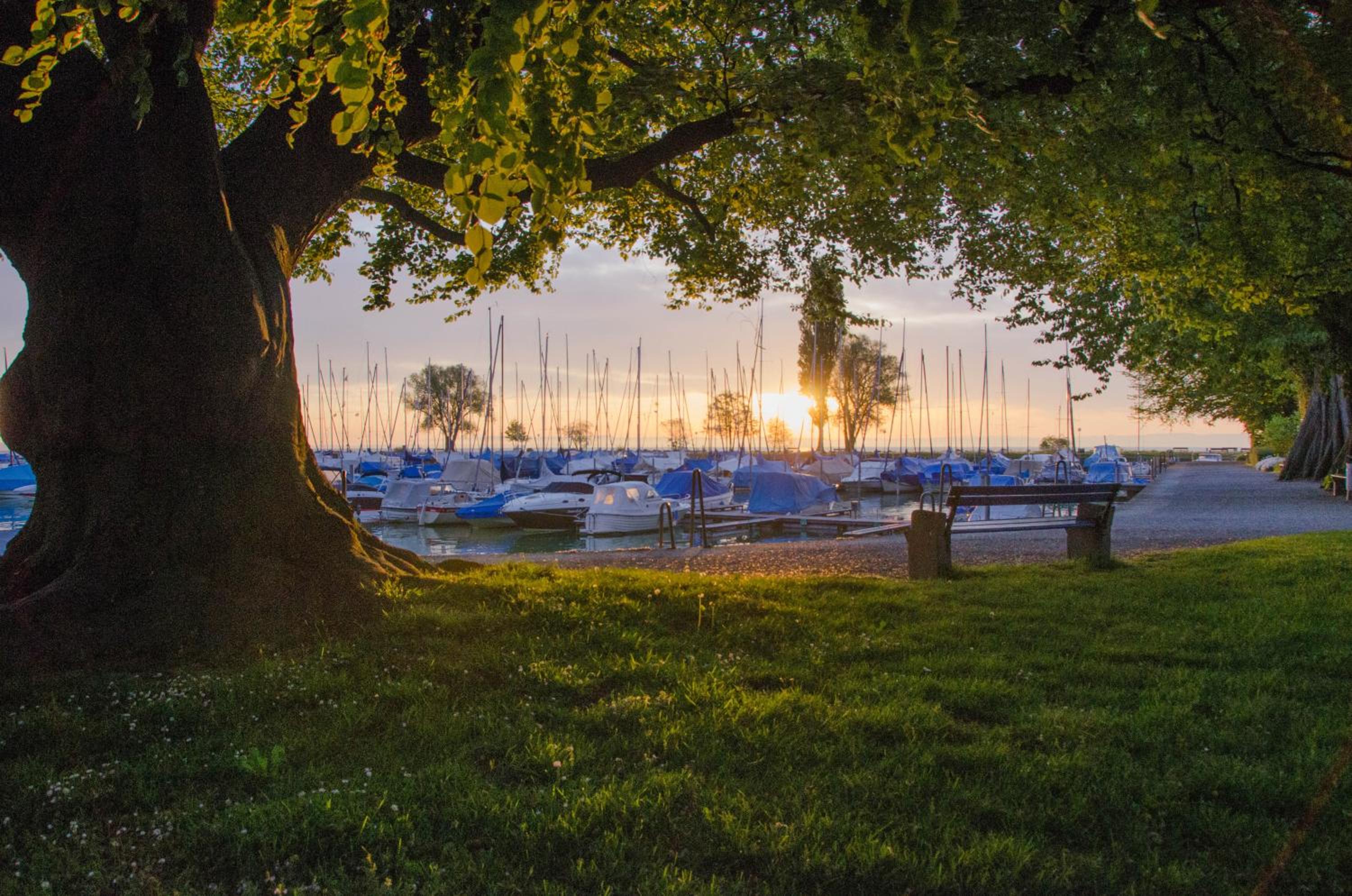 Lakelodge Romanshorn