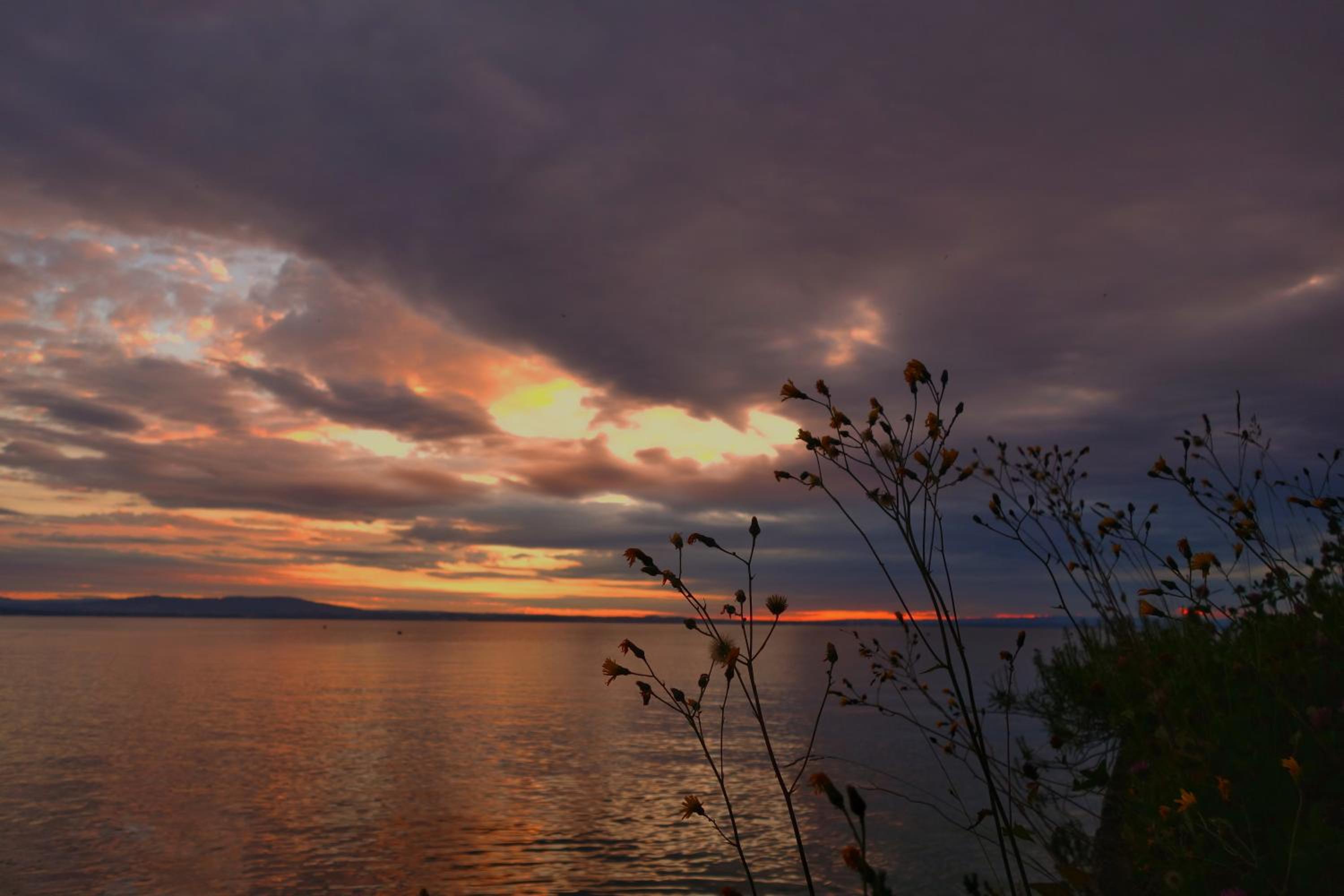 Lakelodge Romanshorn