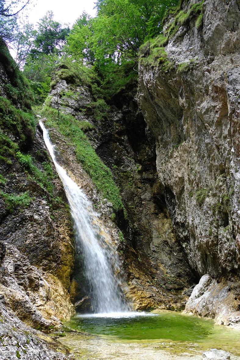 Photo 29