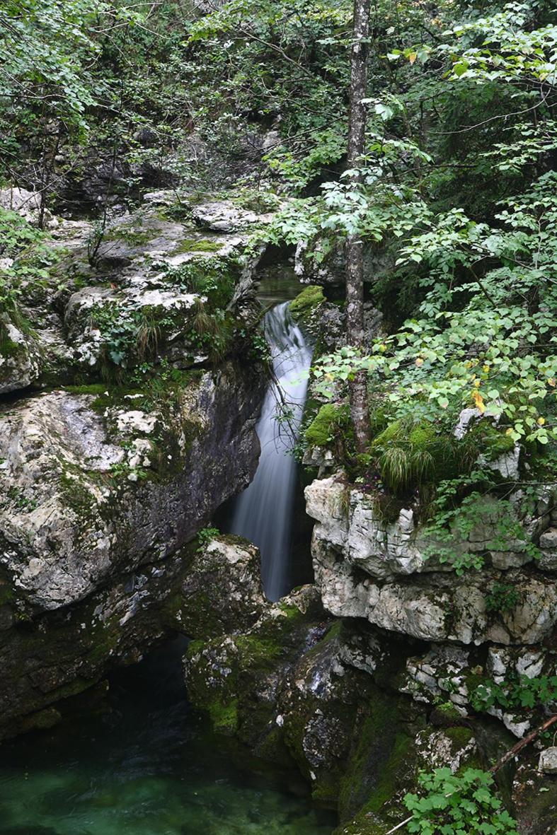 Photo 28