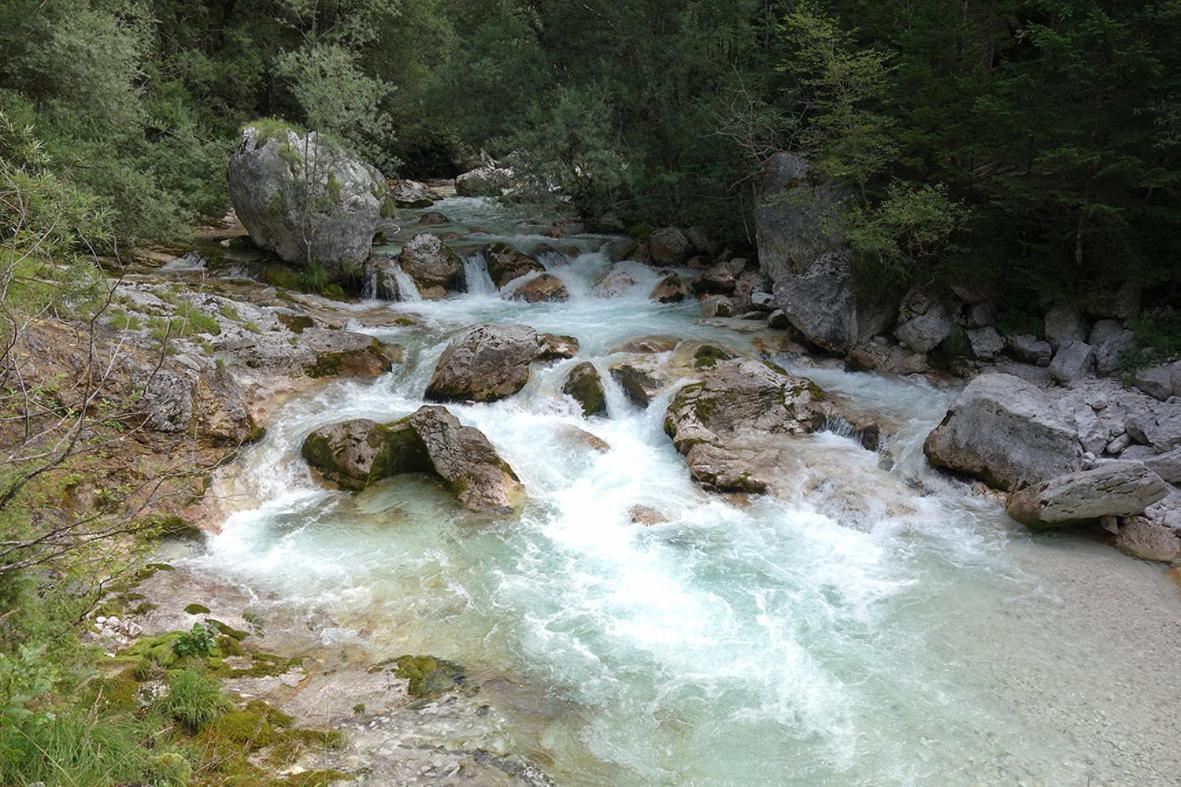 Photo 24