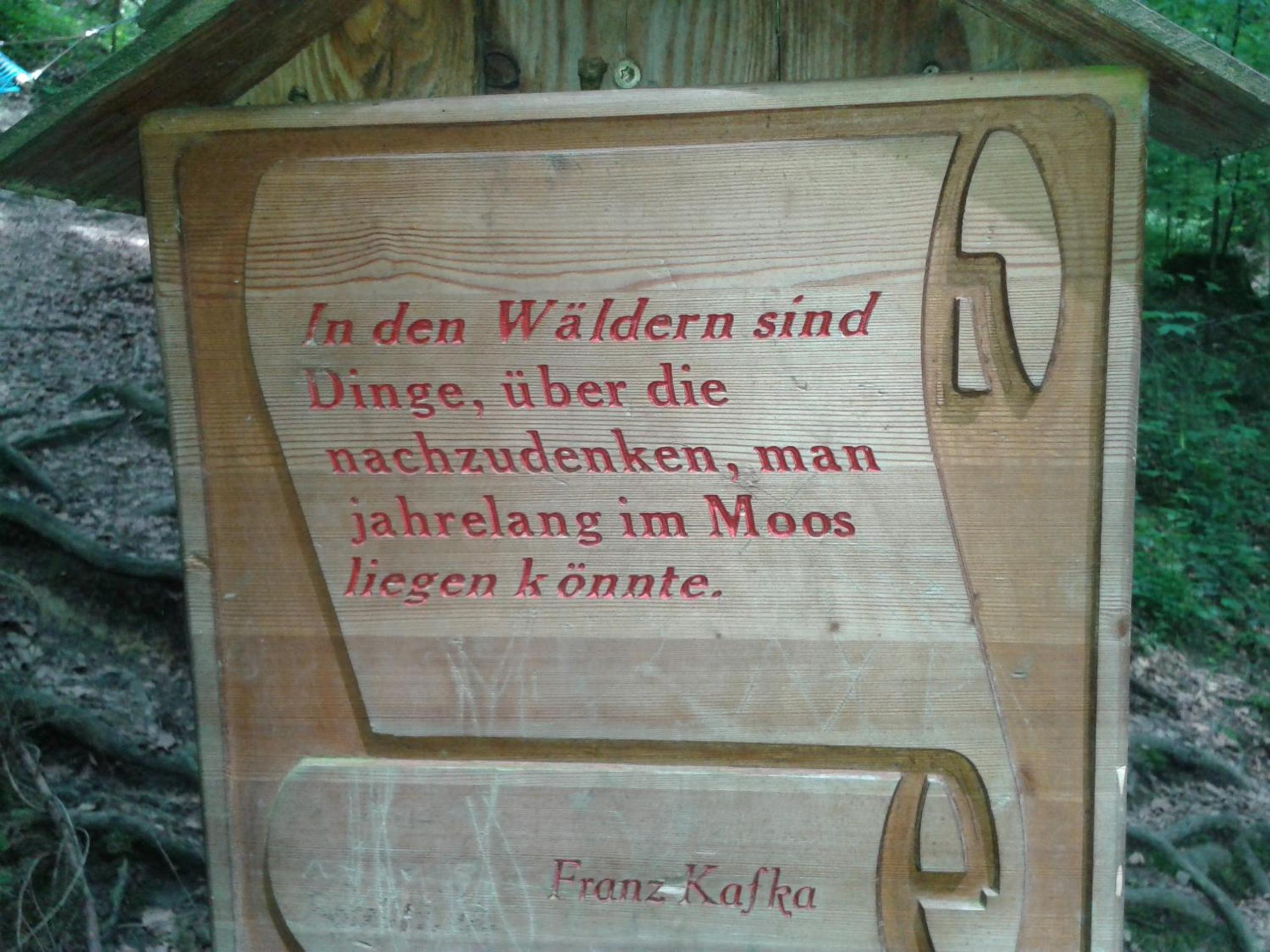 Photo 38