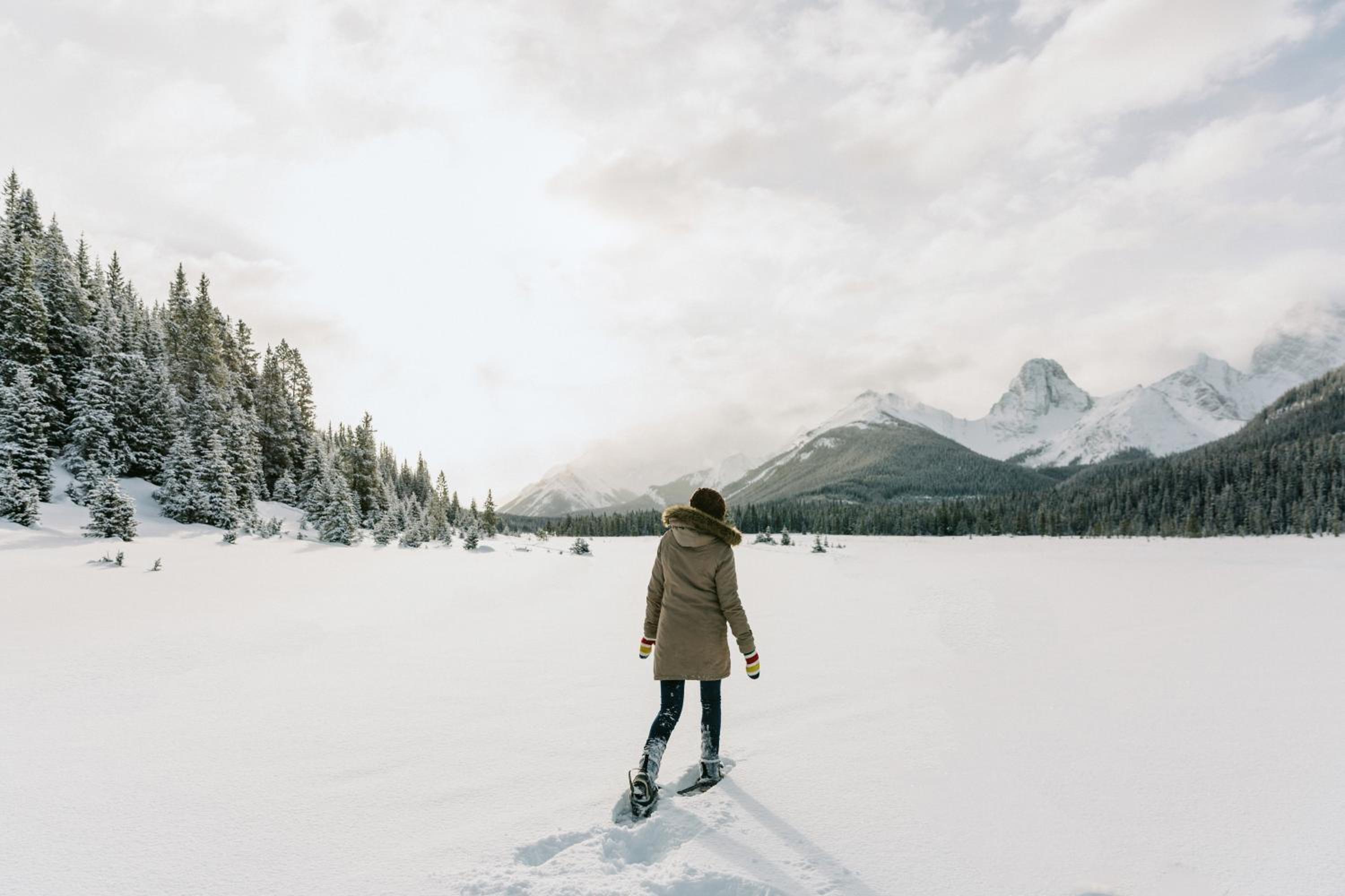 Mount Engadine Lodge