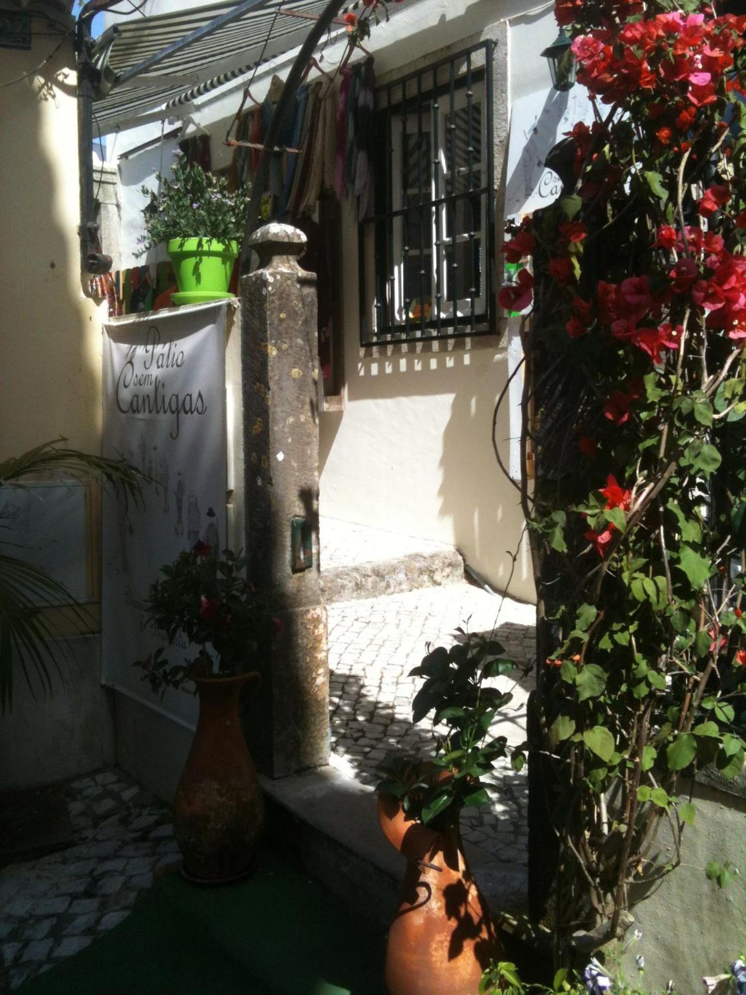 Photo 42