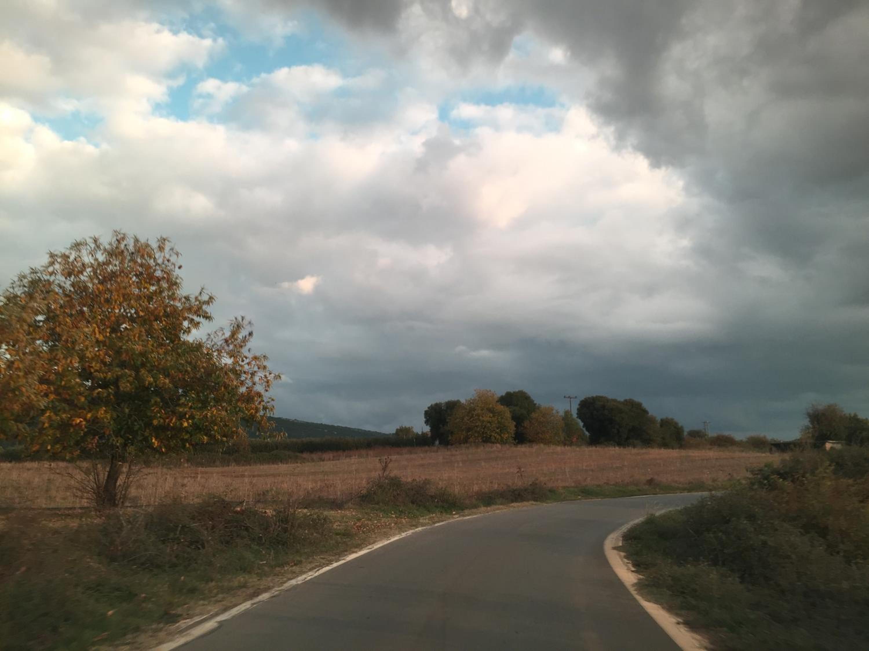 Photo 36