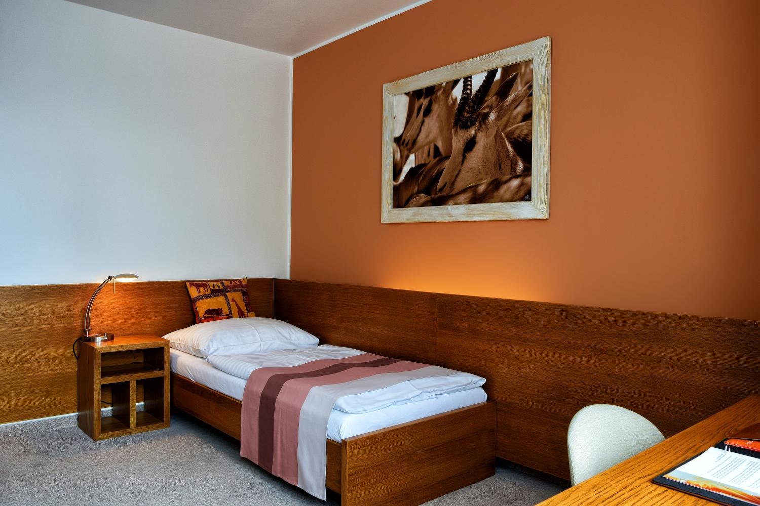 Afrika Hotel Frýdek-Místek