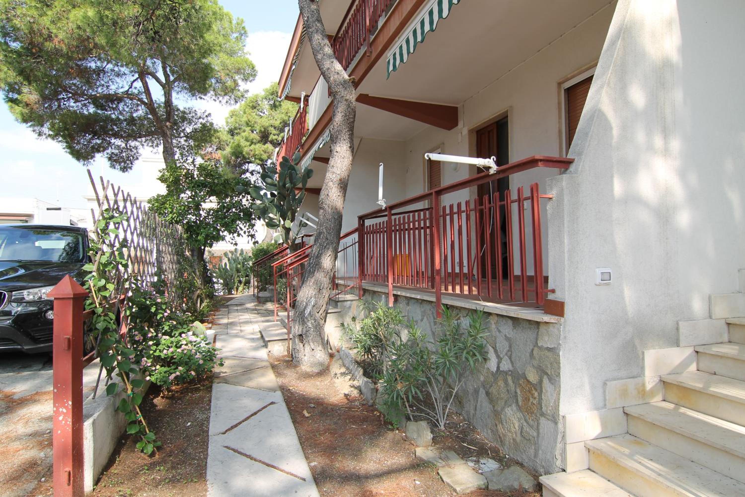 Sea cottage in pinewood view 2