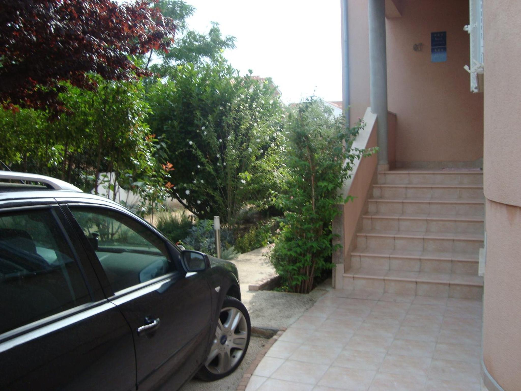 Photo 51