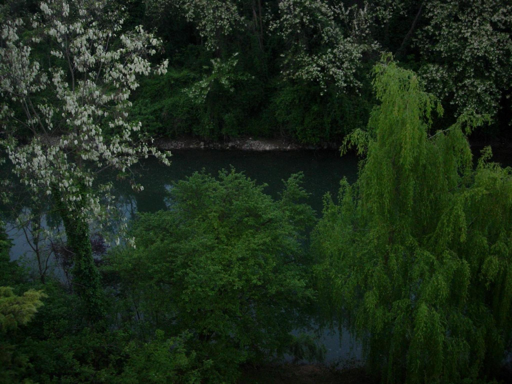 Photo 39