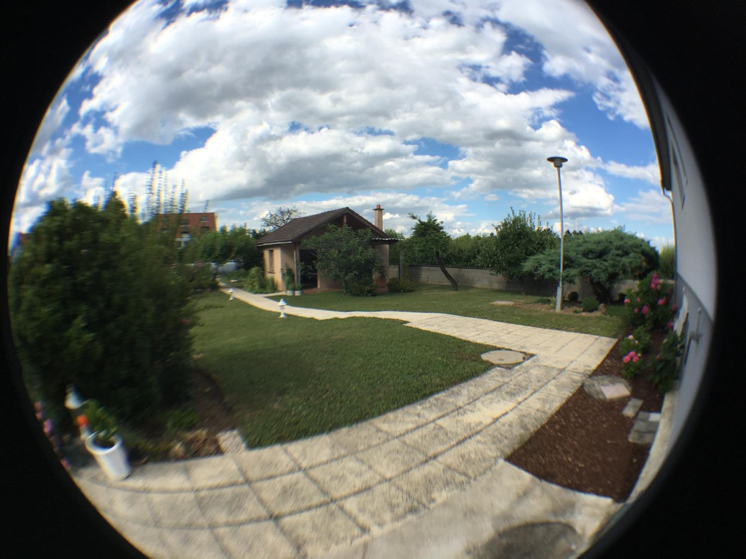Photo 14