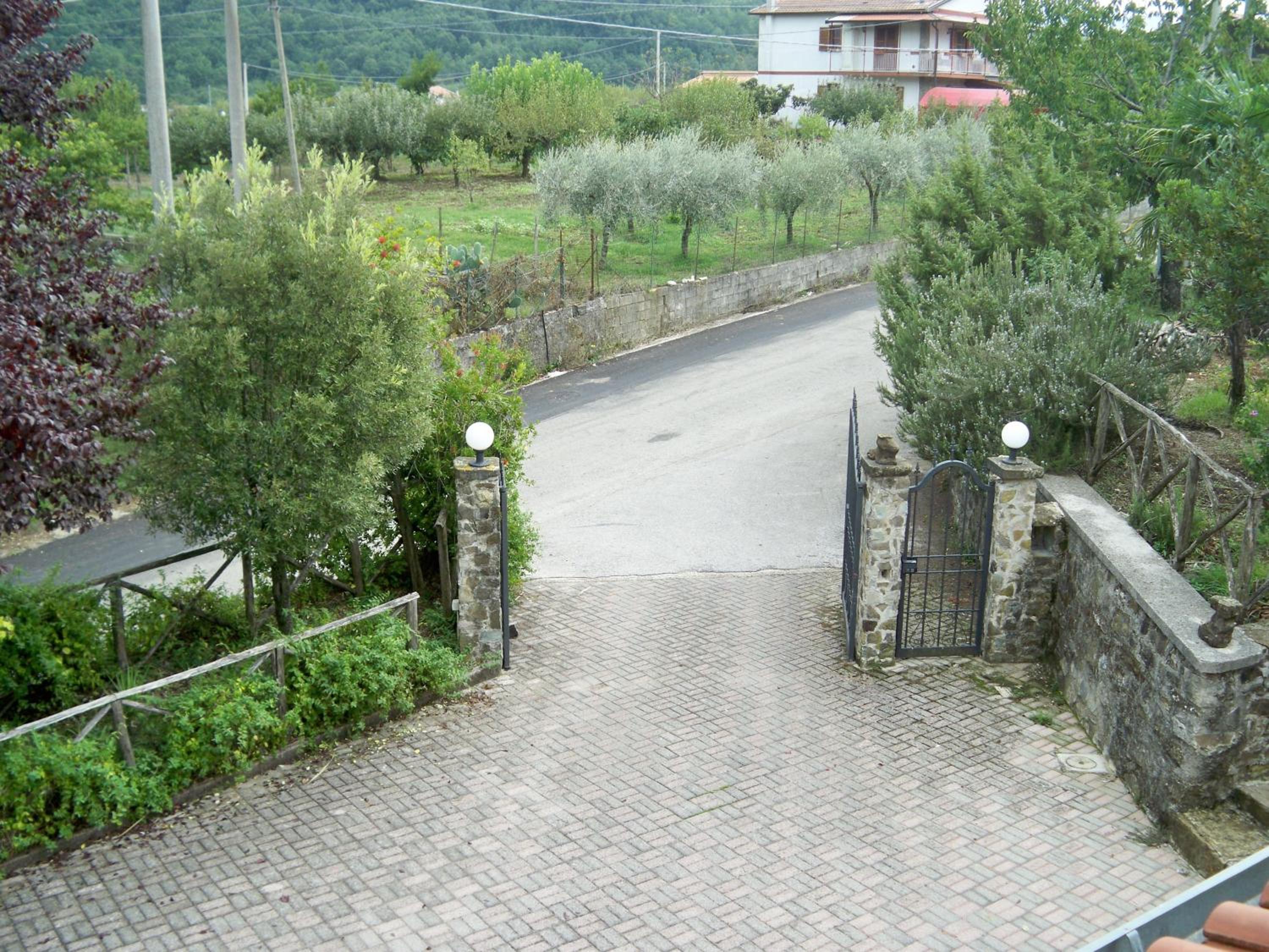 Photo 15