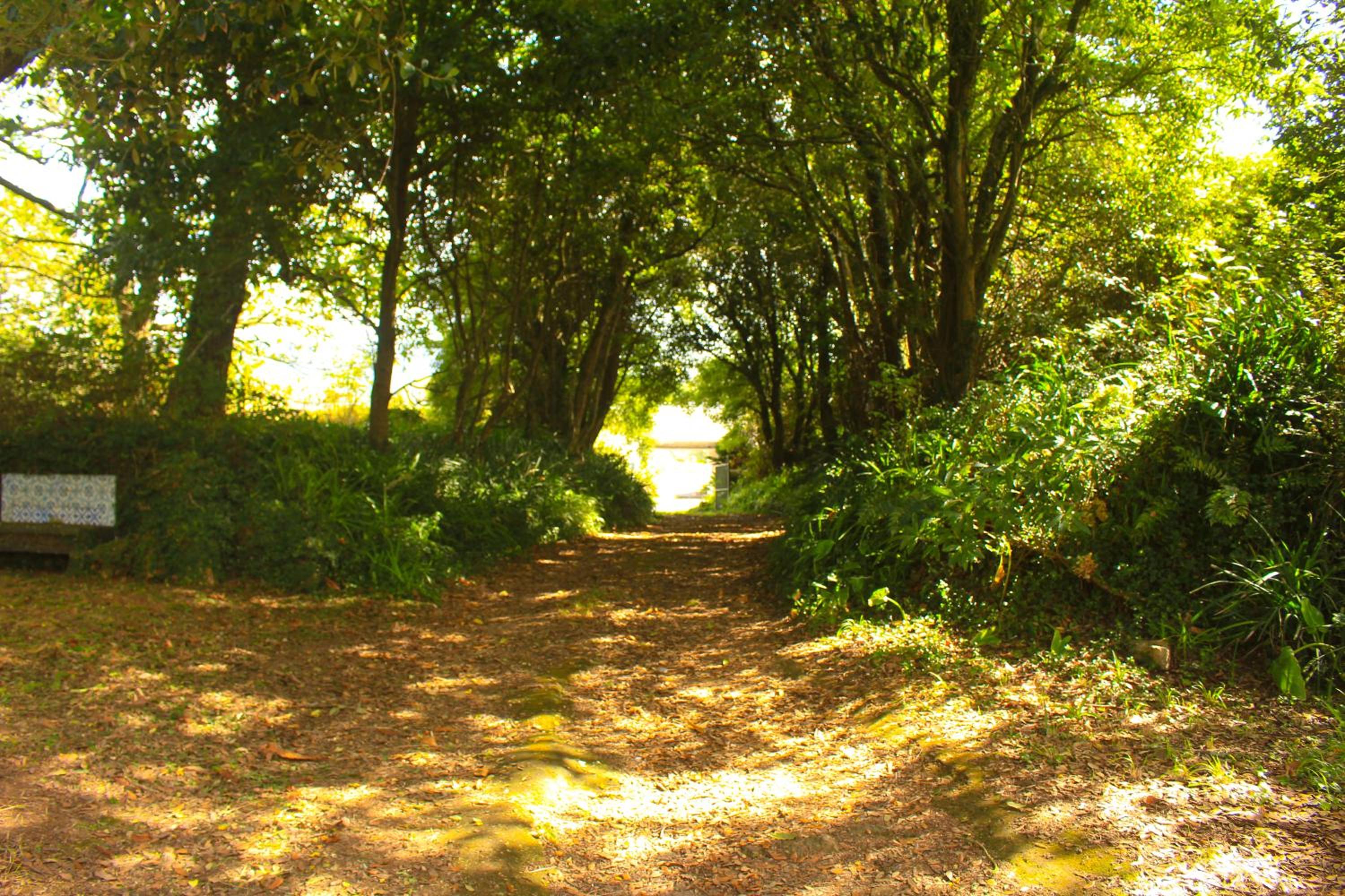 Photo 31